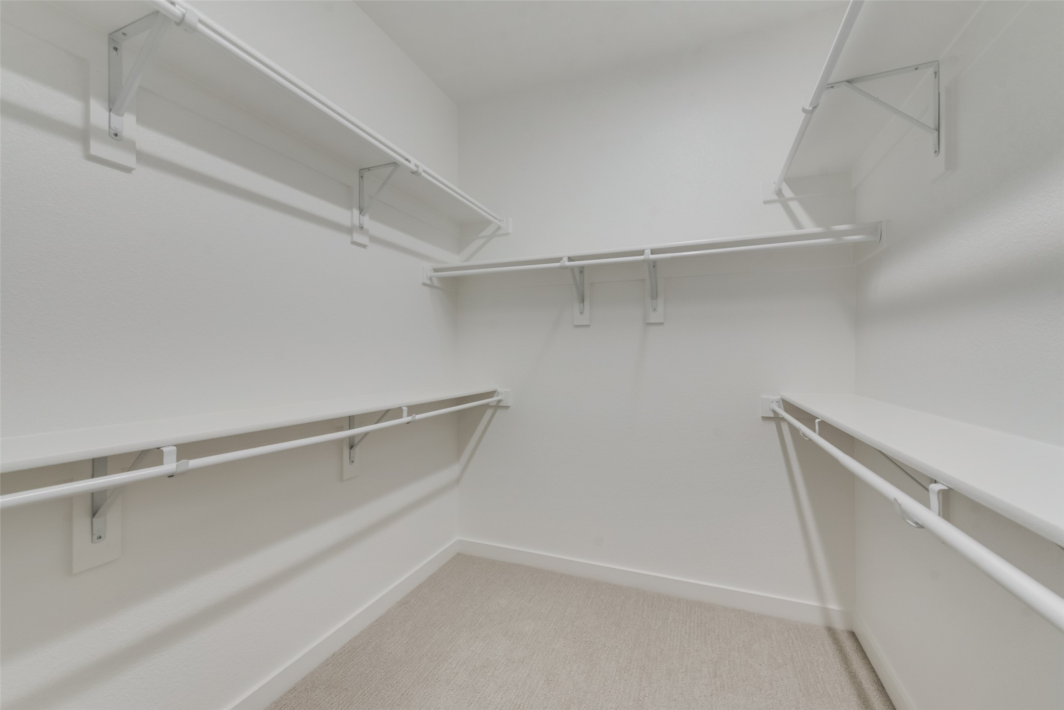 831 Cavitt Court