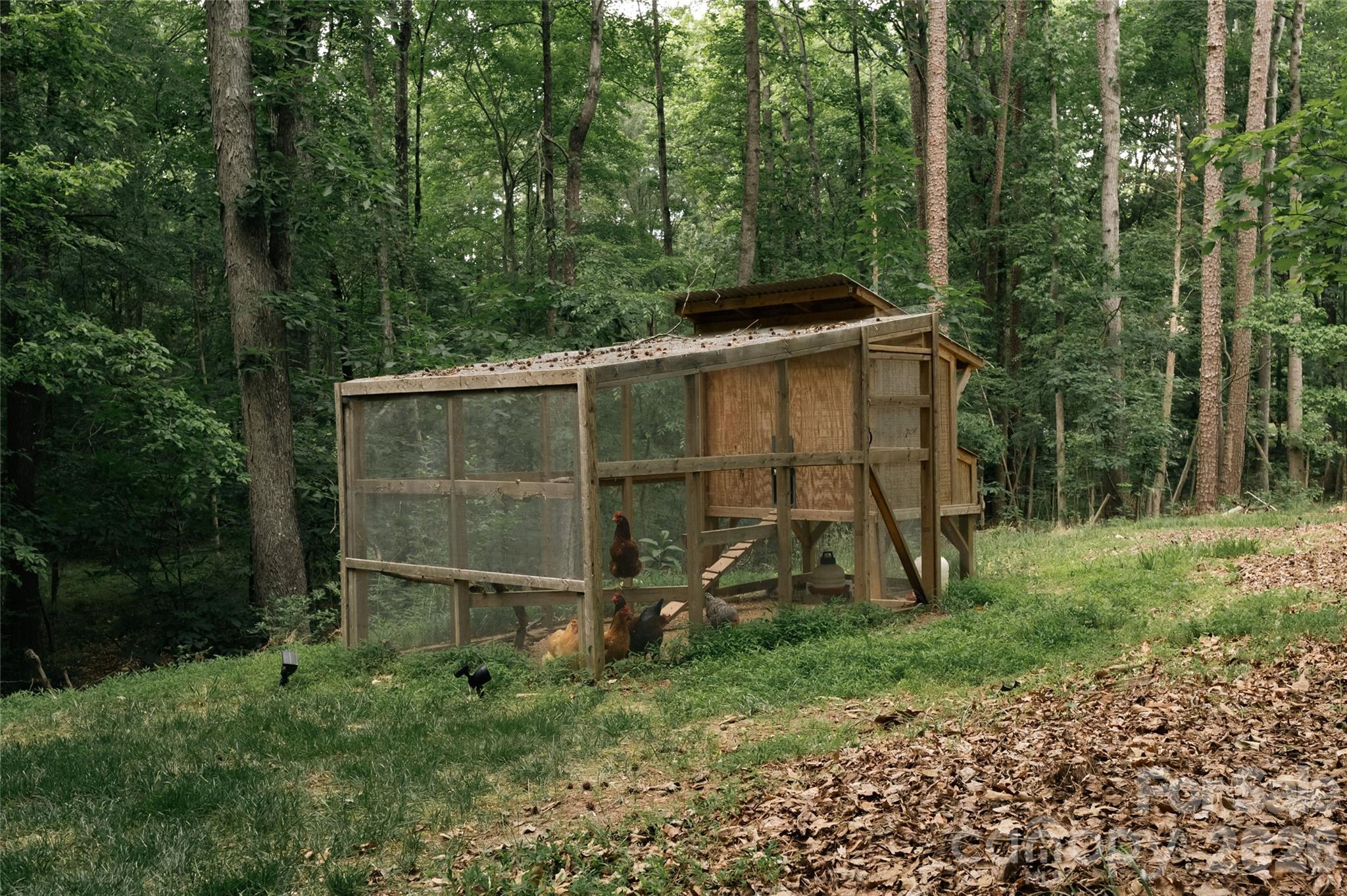 1800 Chestnut Lane