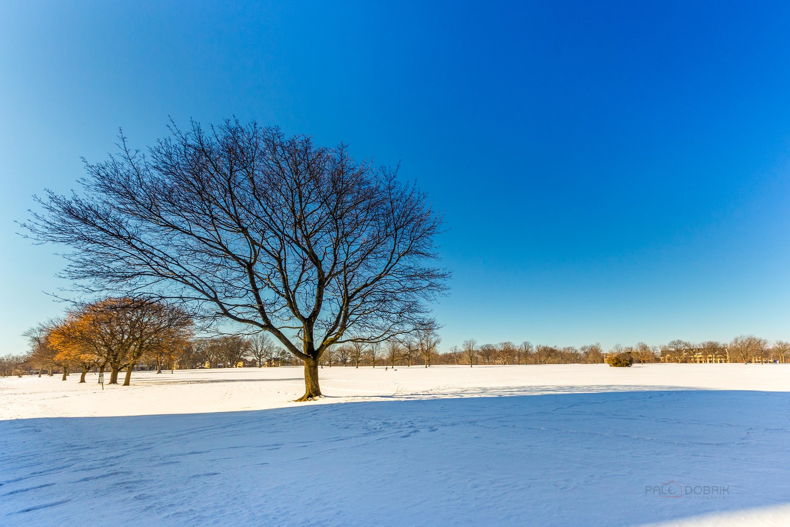 210 Leonard Wood S Unit: 101