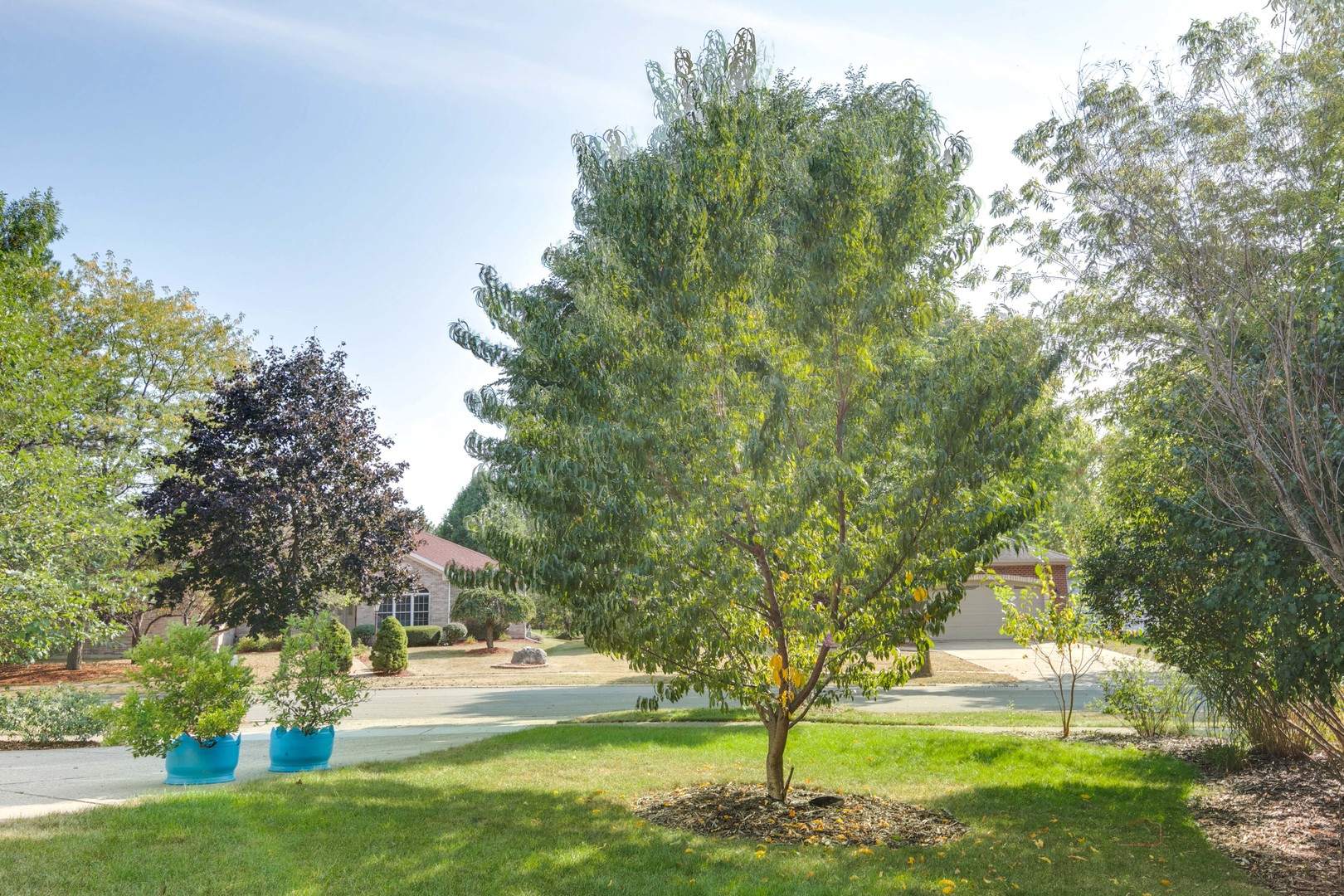 1098 Suffolk Court