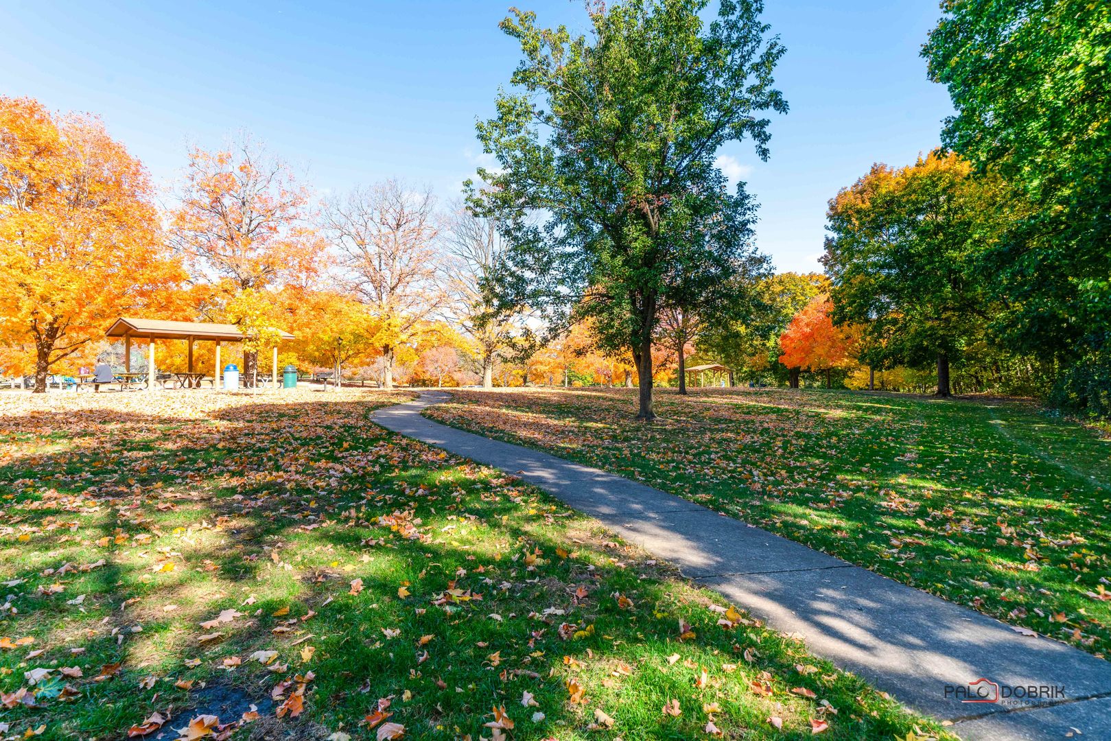 212 Carriage Hill Circle