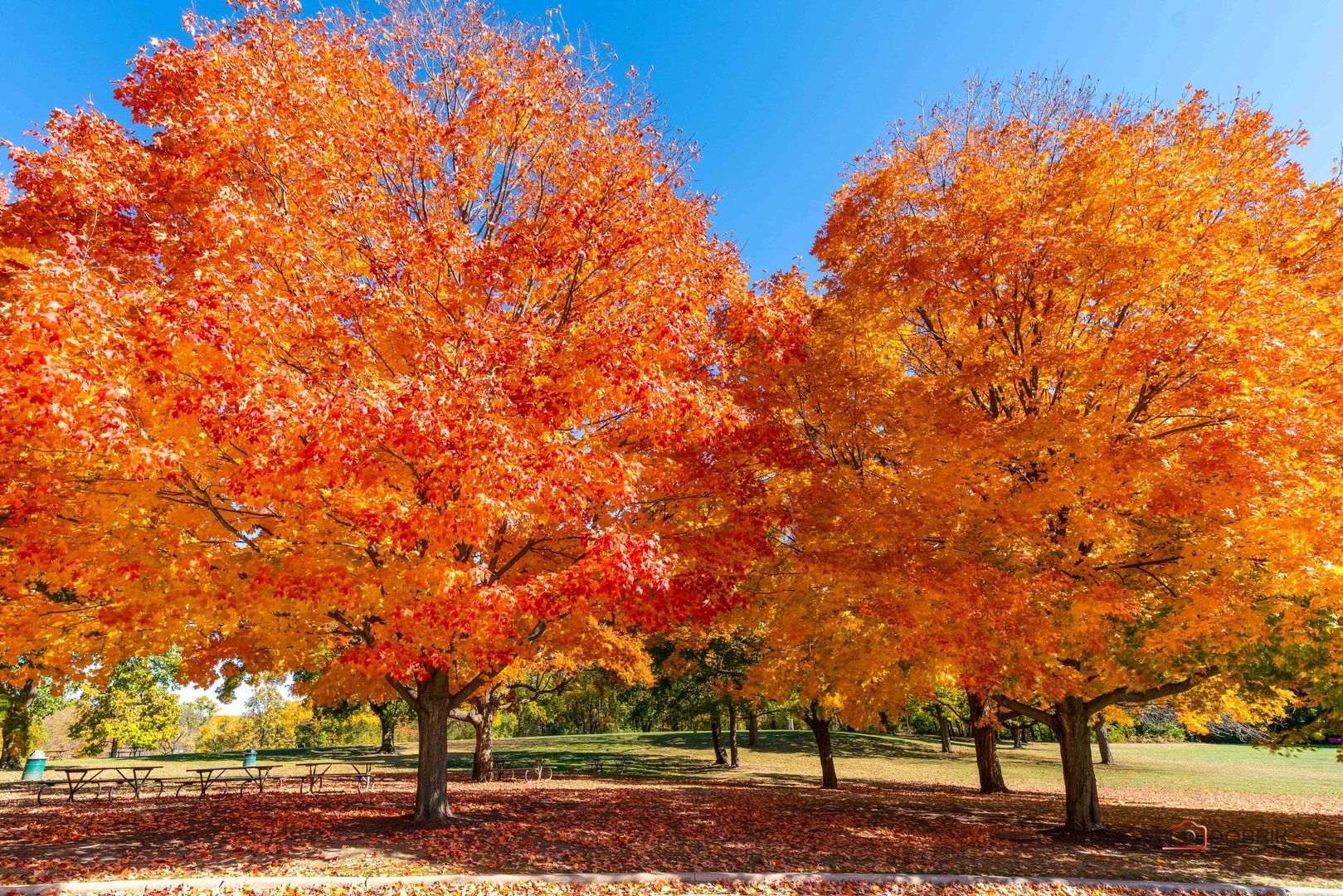 212 Carriage Hill Circle