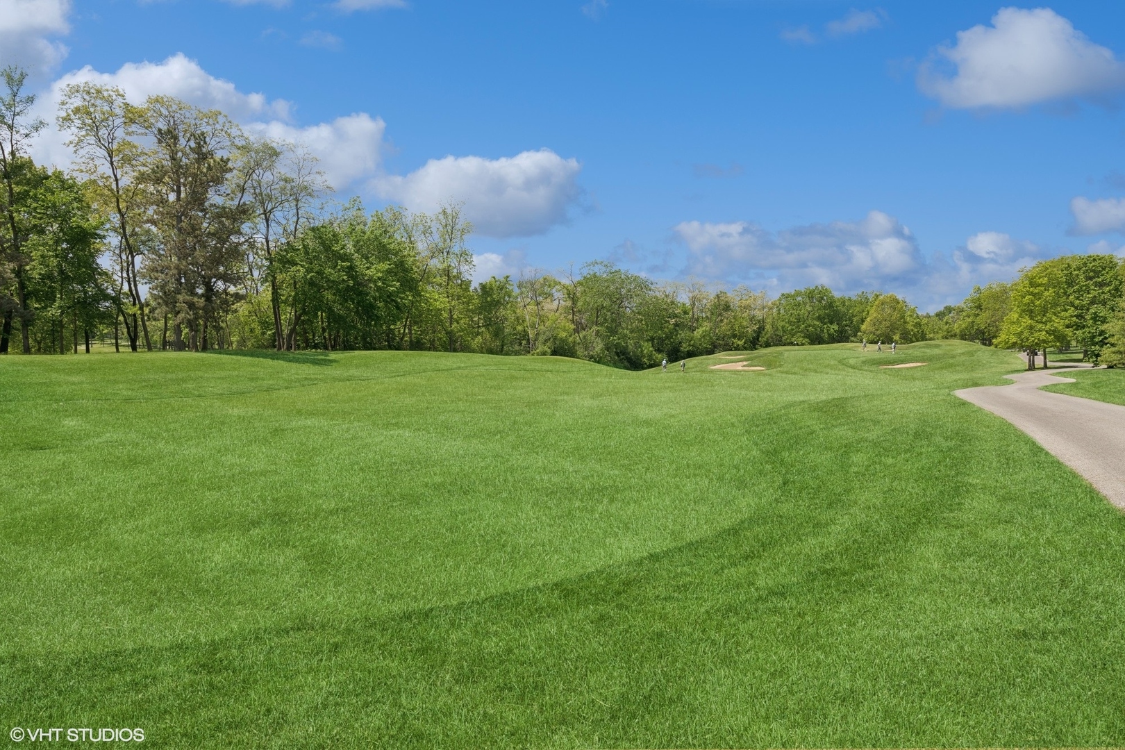 29026 N Brassie Court