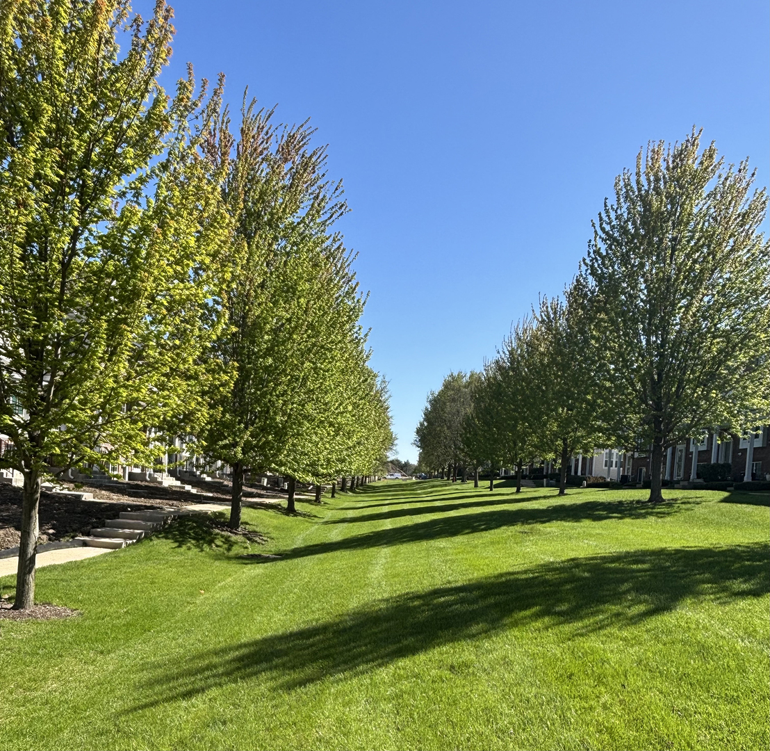 1509 Neubauer Circle Unit: 801