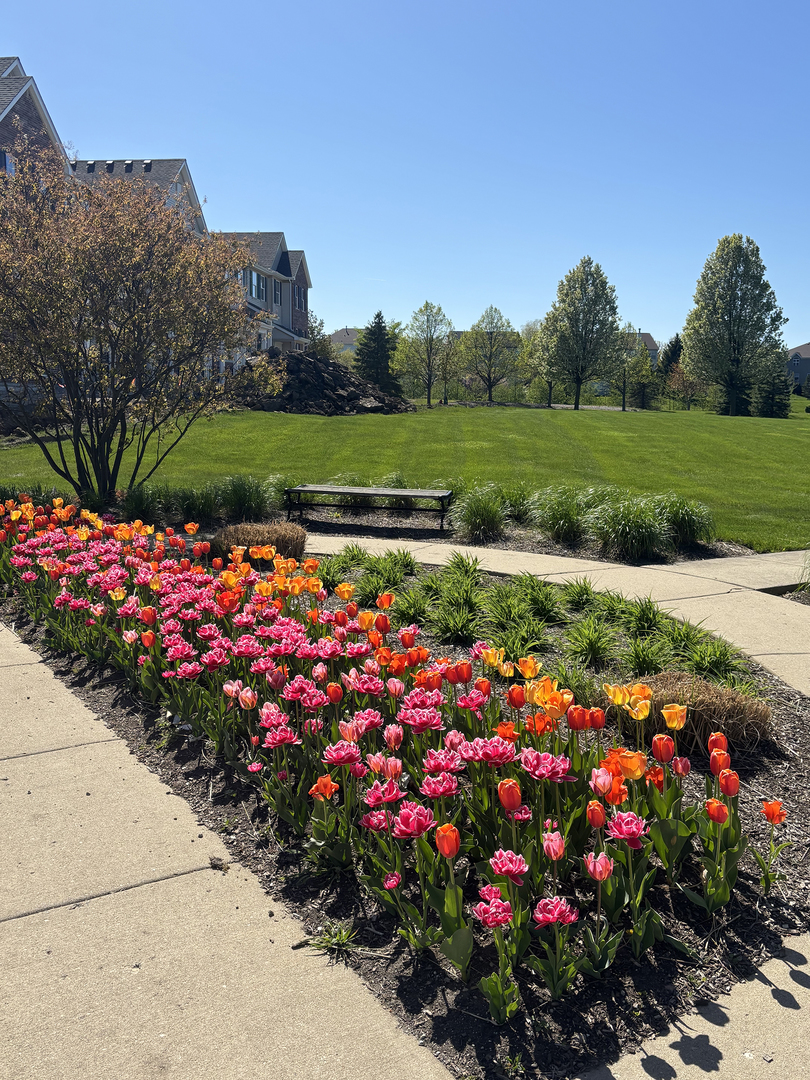 1509 Neubauer Circle Unit: 801