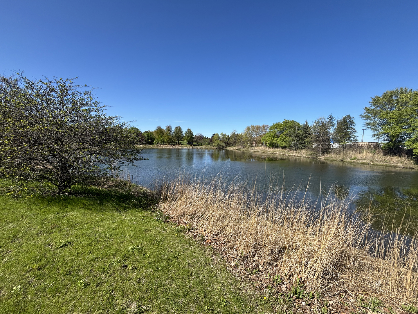 1509 Neubauer Circle Unit: 801