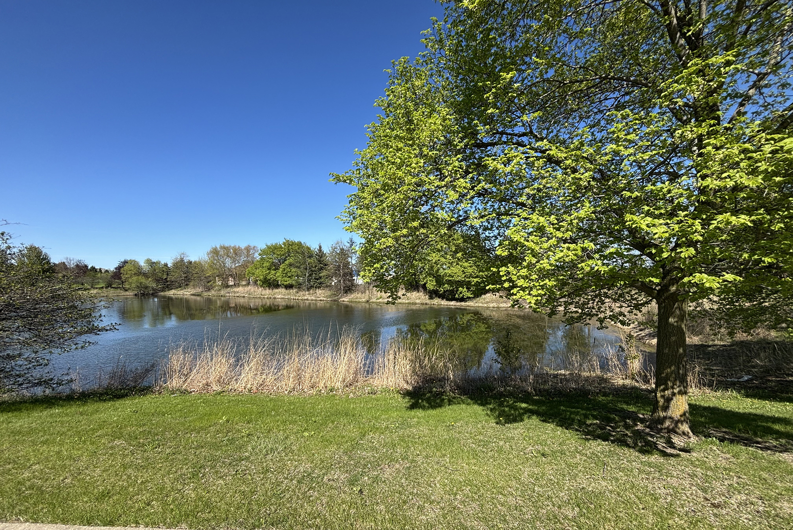 1509 Neubauer Circle Unit: 801