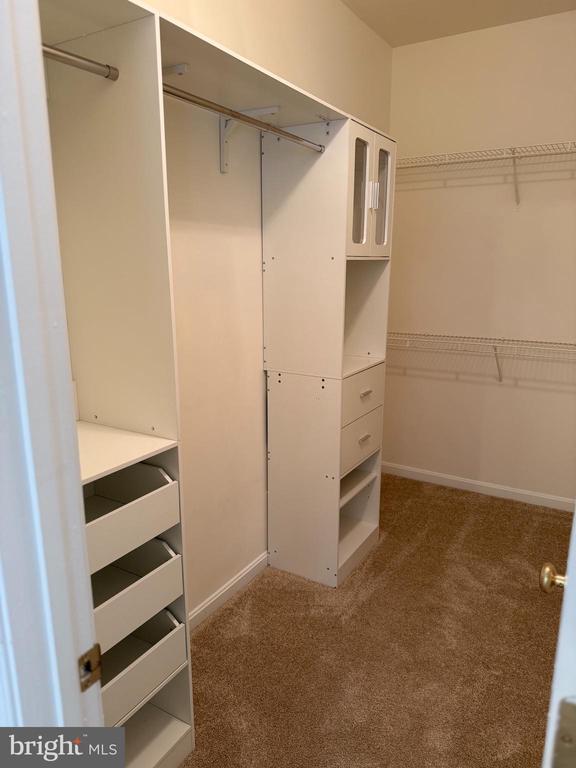 11103 SATURN COURT