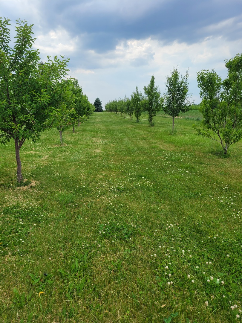 12350 W IL RT 26 Route