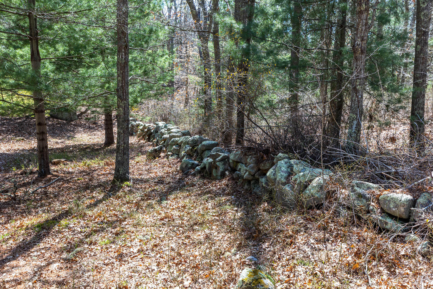 20 Stone Wall Lane