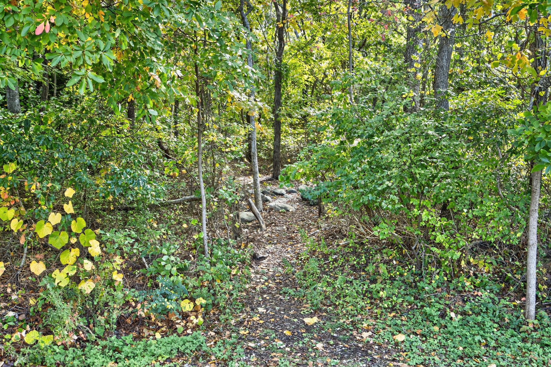 45 Haynes Avenue, Falmouth