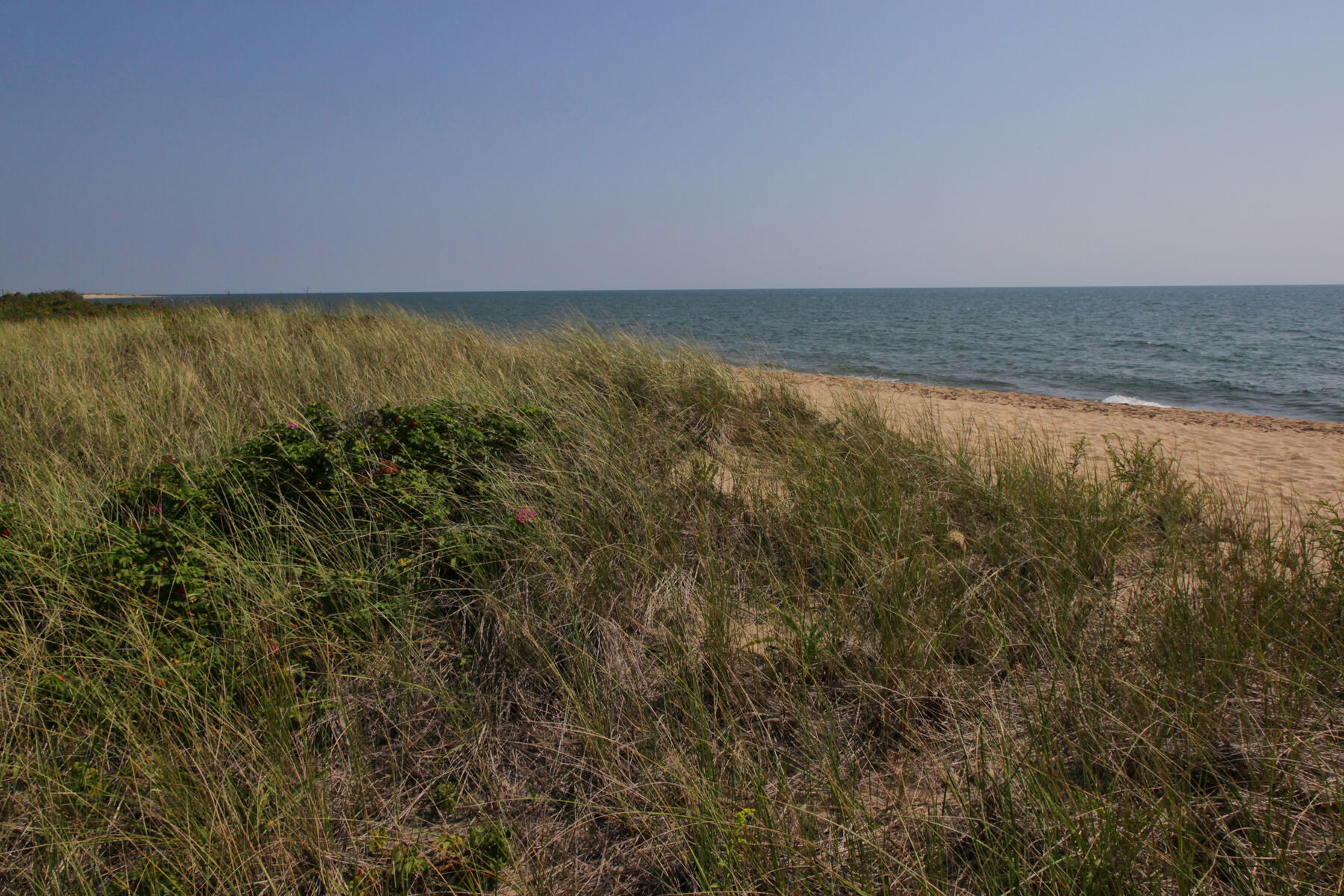 16 Gold Leaf Lane UNIT 16