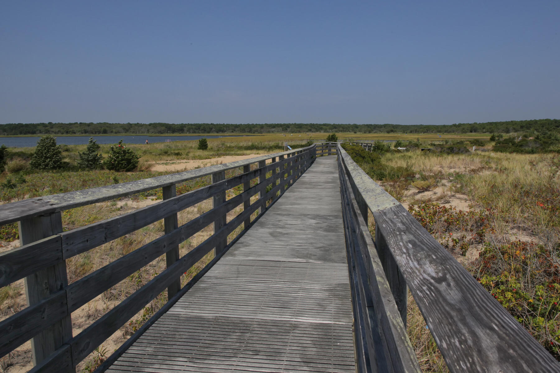 16 Gold Leaf Lane UNIT 16