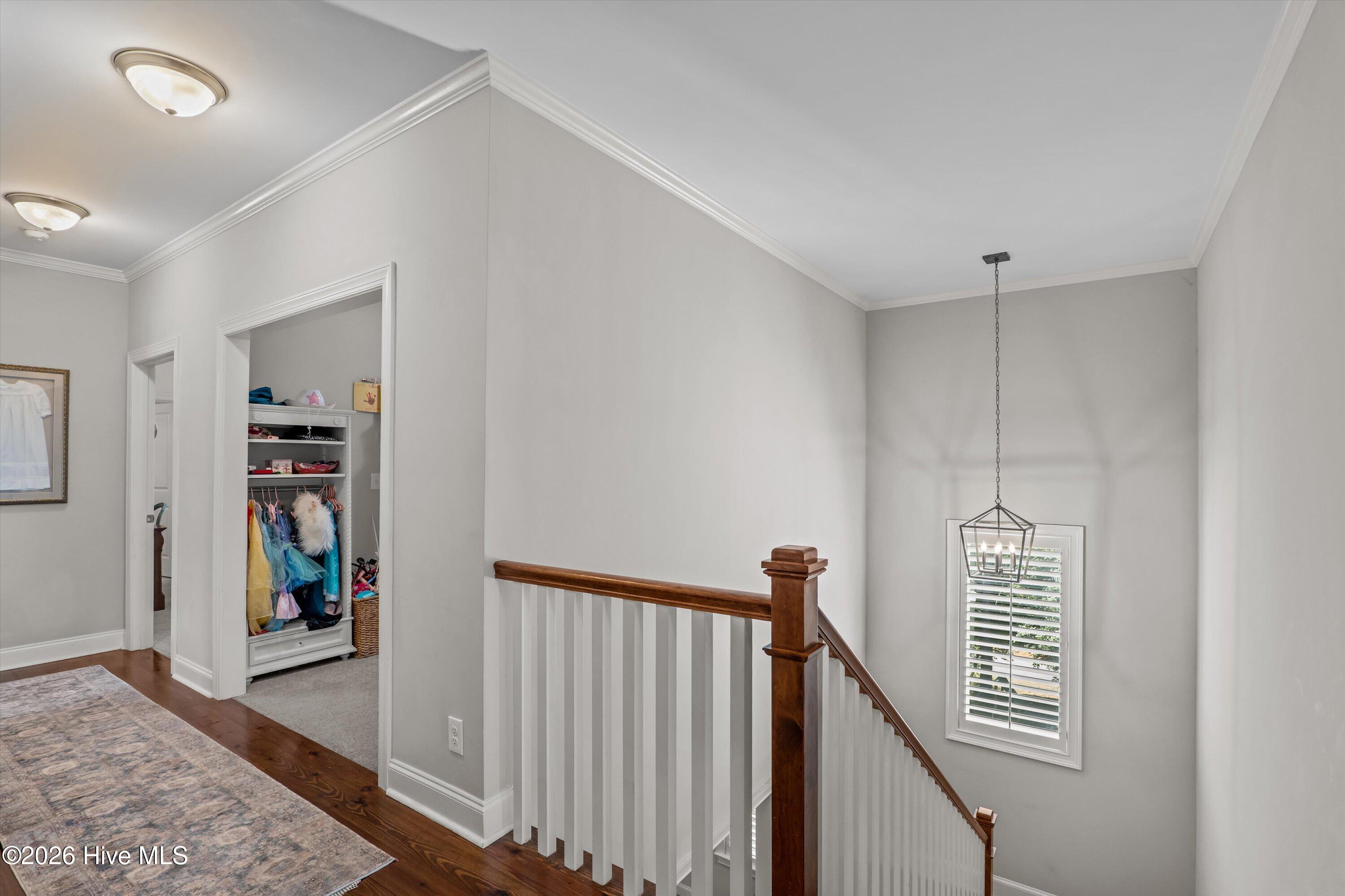 205 Dixon Court