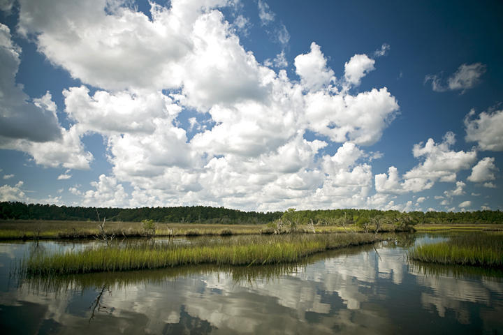 3989 Bulow Landing Road