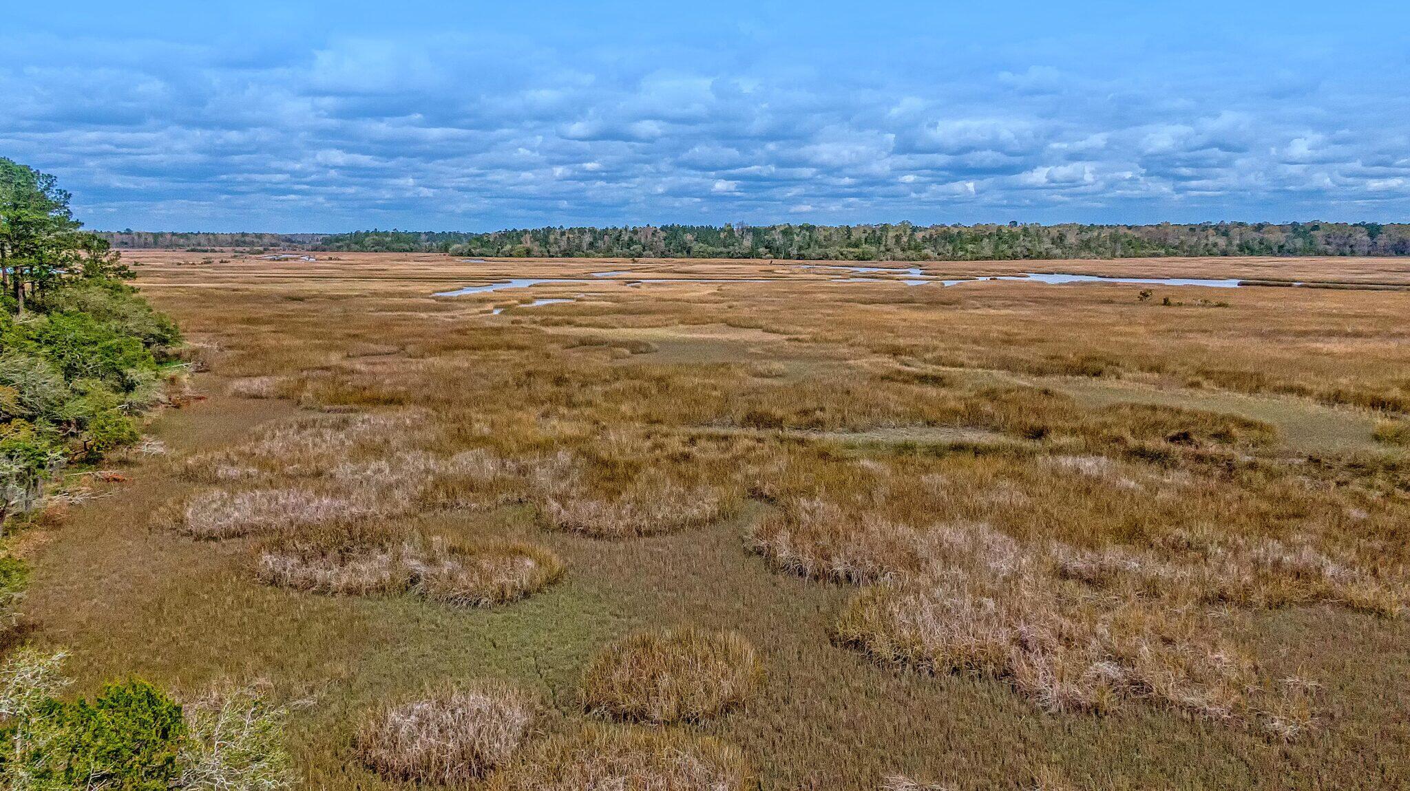 3989 Bulow Landing Road