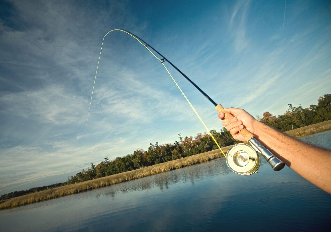 3989 Bulow Landing Road