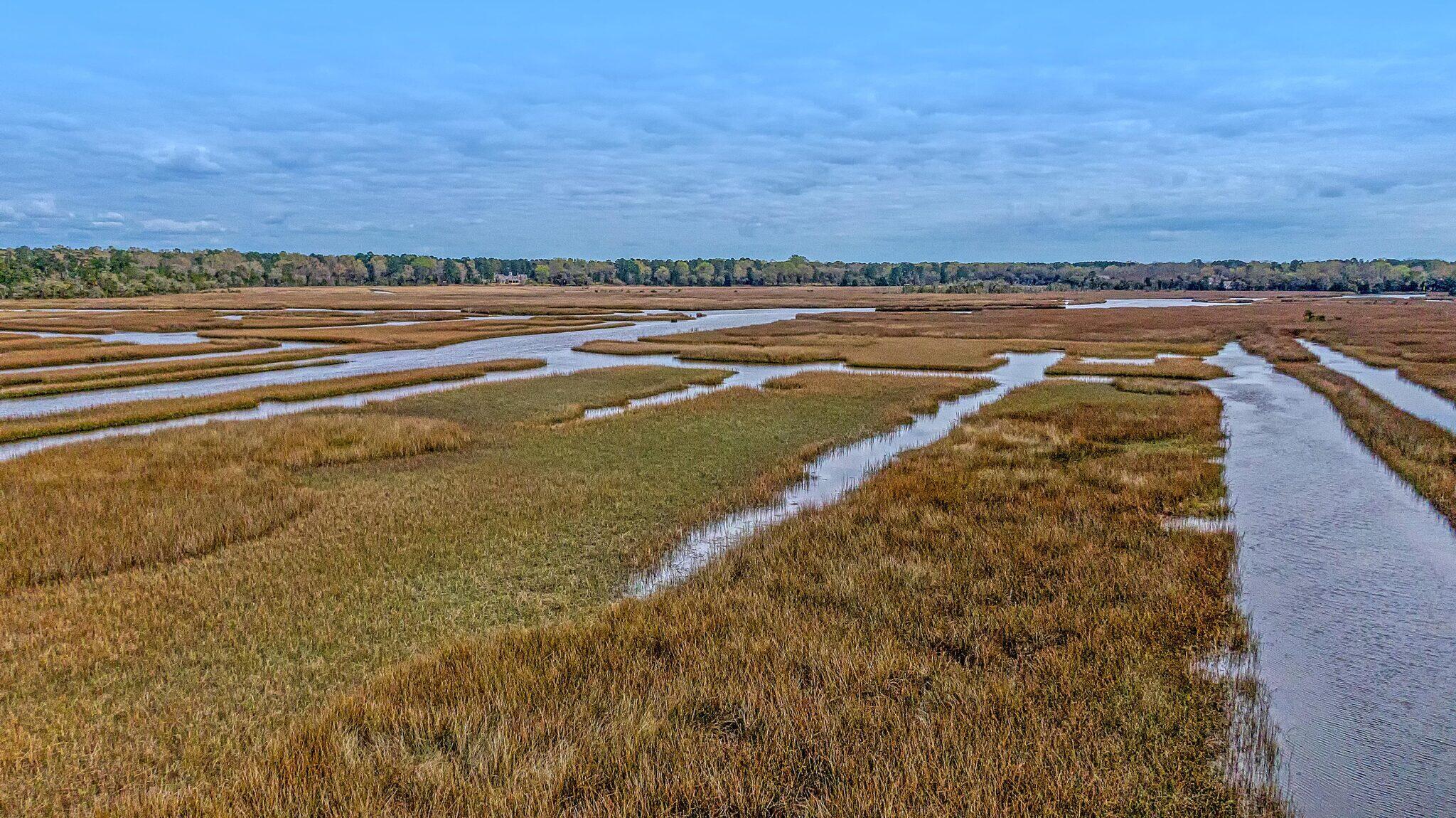 3989 Bulow Landing Road