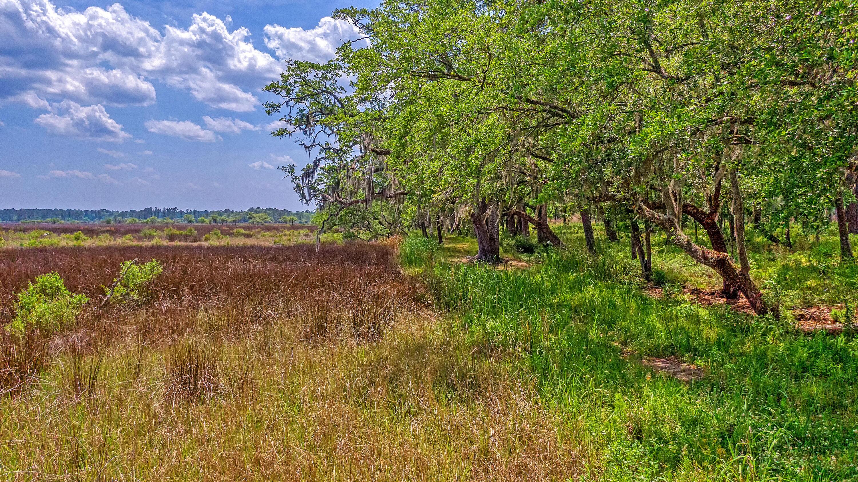 210 Oyster Catcher Lane