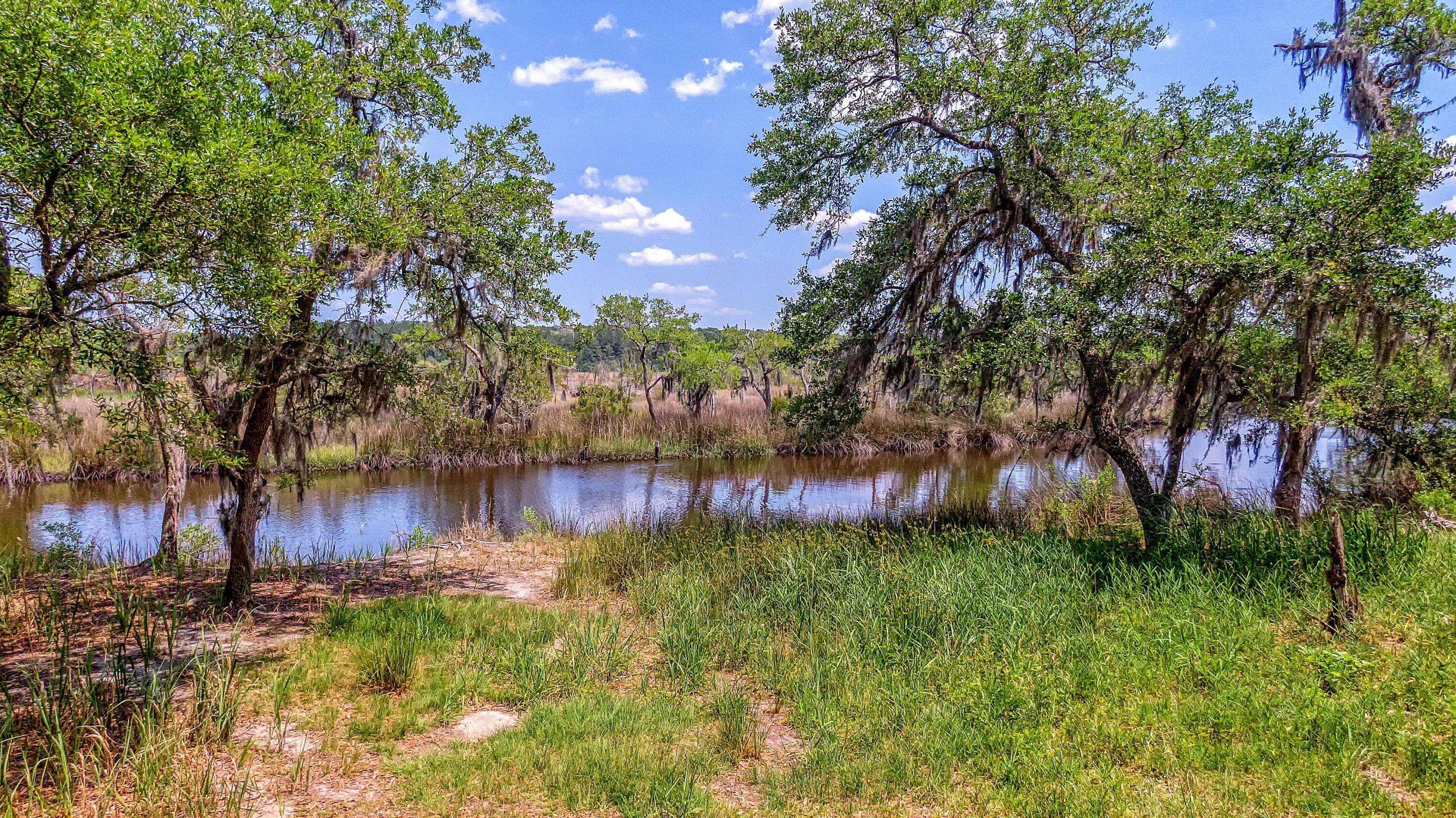 210 Oyster Catcher Lane