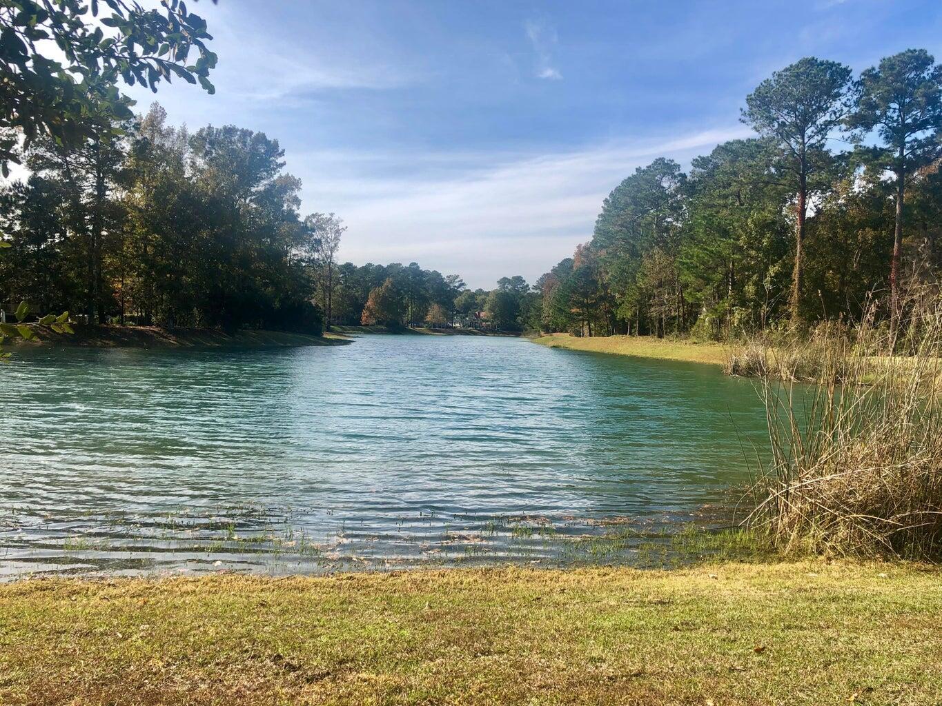 4163 Deep Step Drive