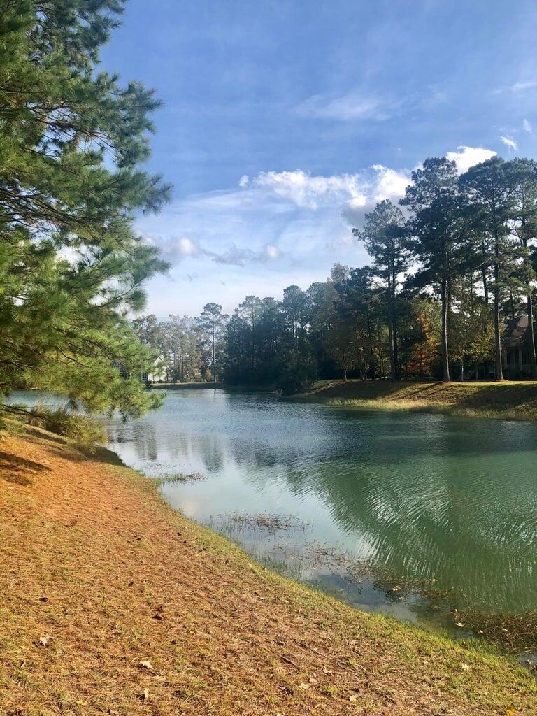 4163 Deep Step Drive