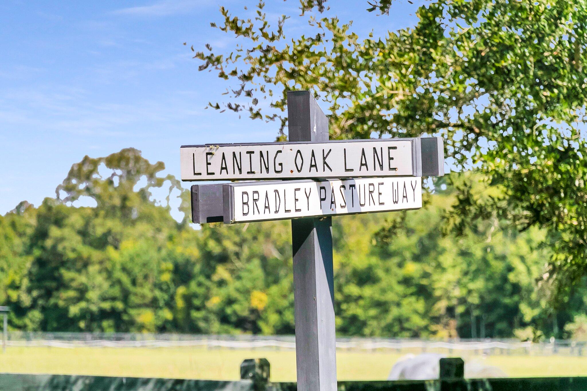 17 Leaning Oak Lane