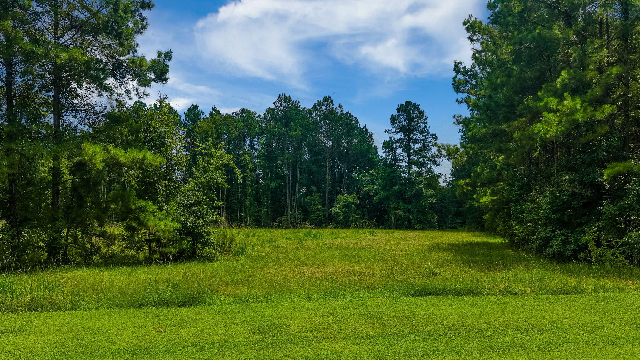 15 Bradley Pasture Way