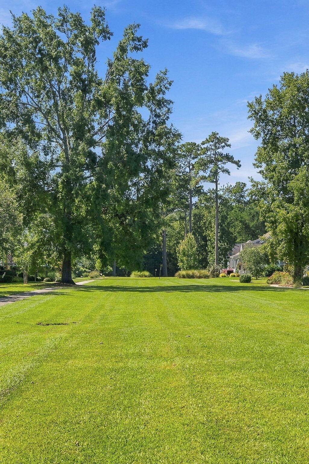 3998 Capensis Lane