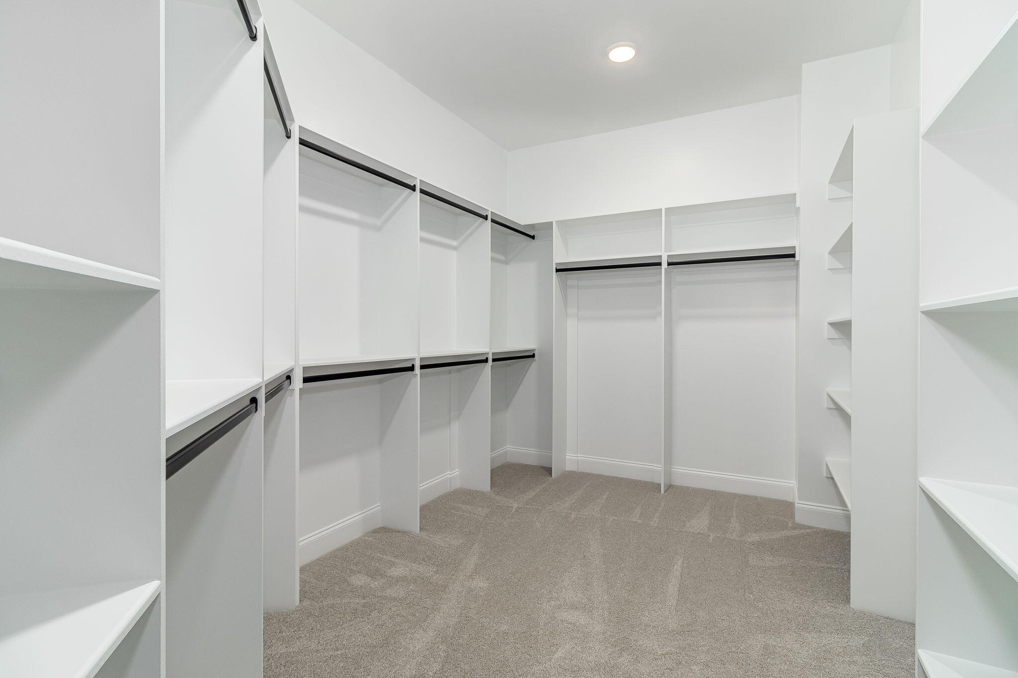 731 WHITNEY SHOALS Road