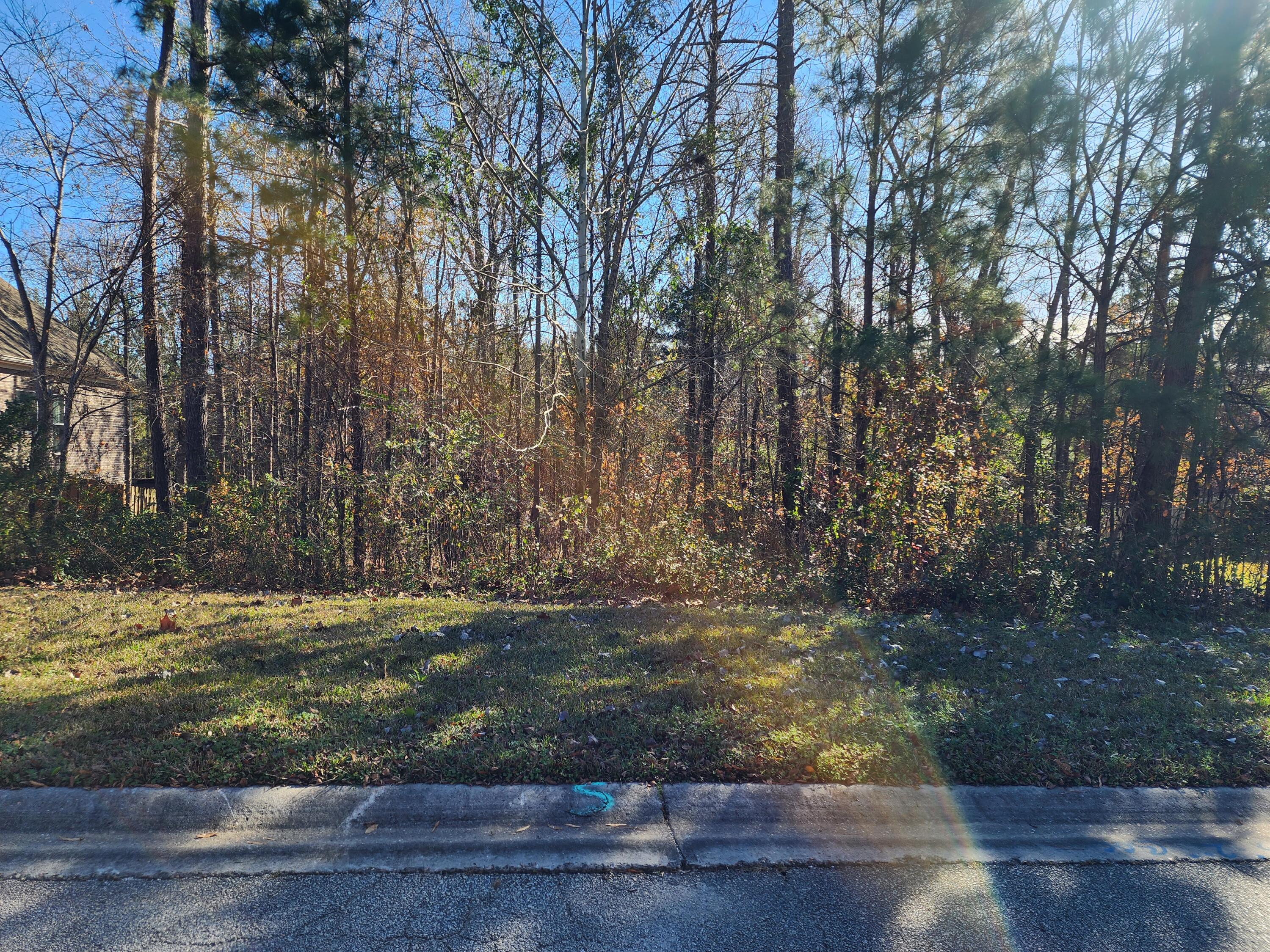 2206 MILLSHAVEN Trail