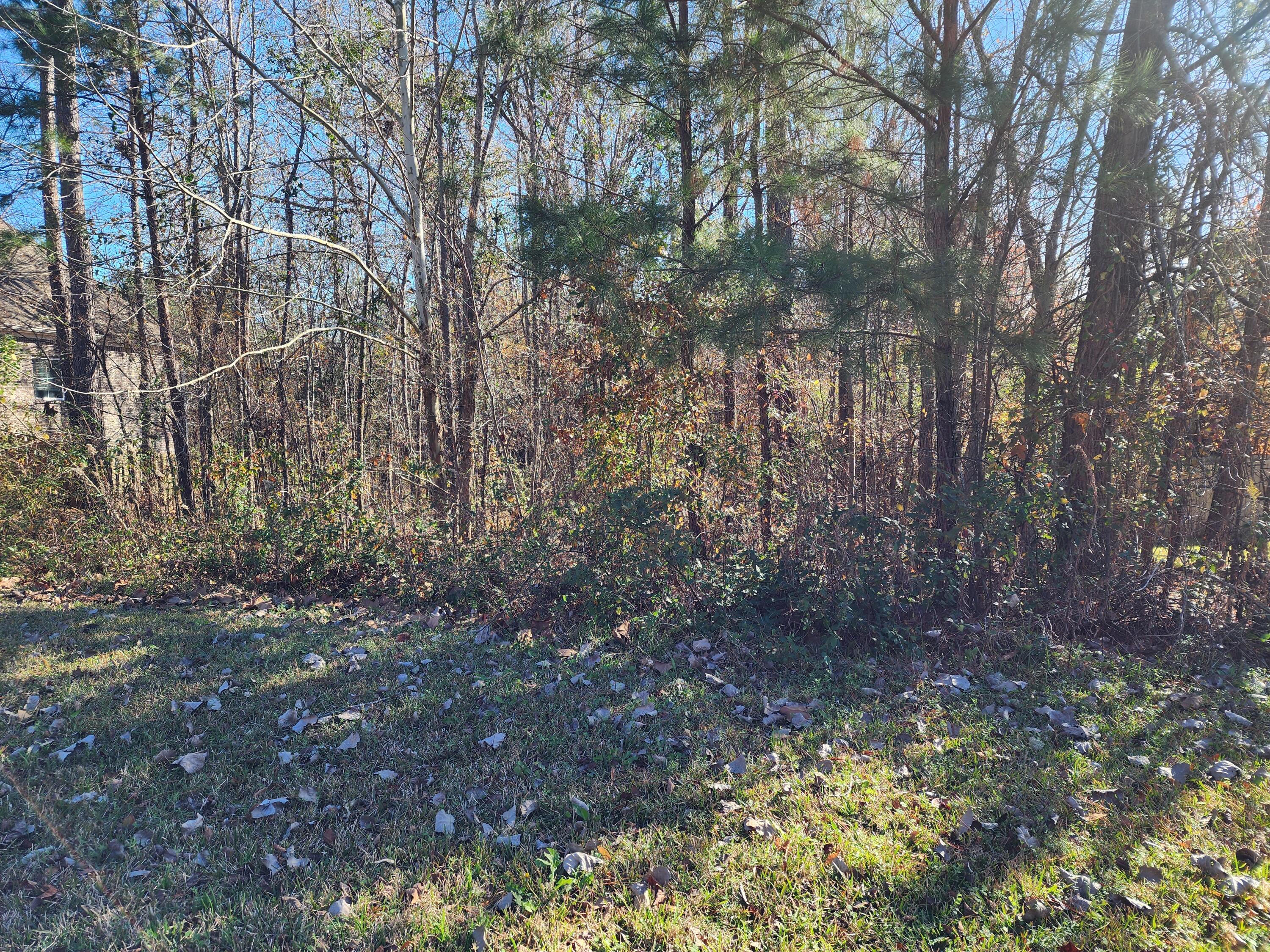 2206 MILLSHAVEN Trail