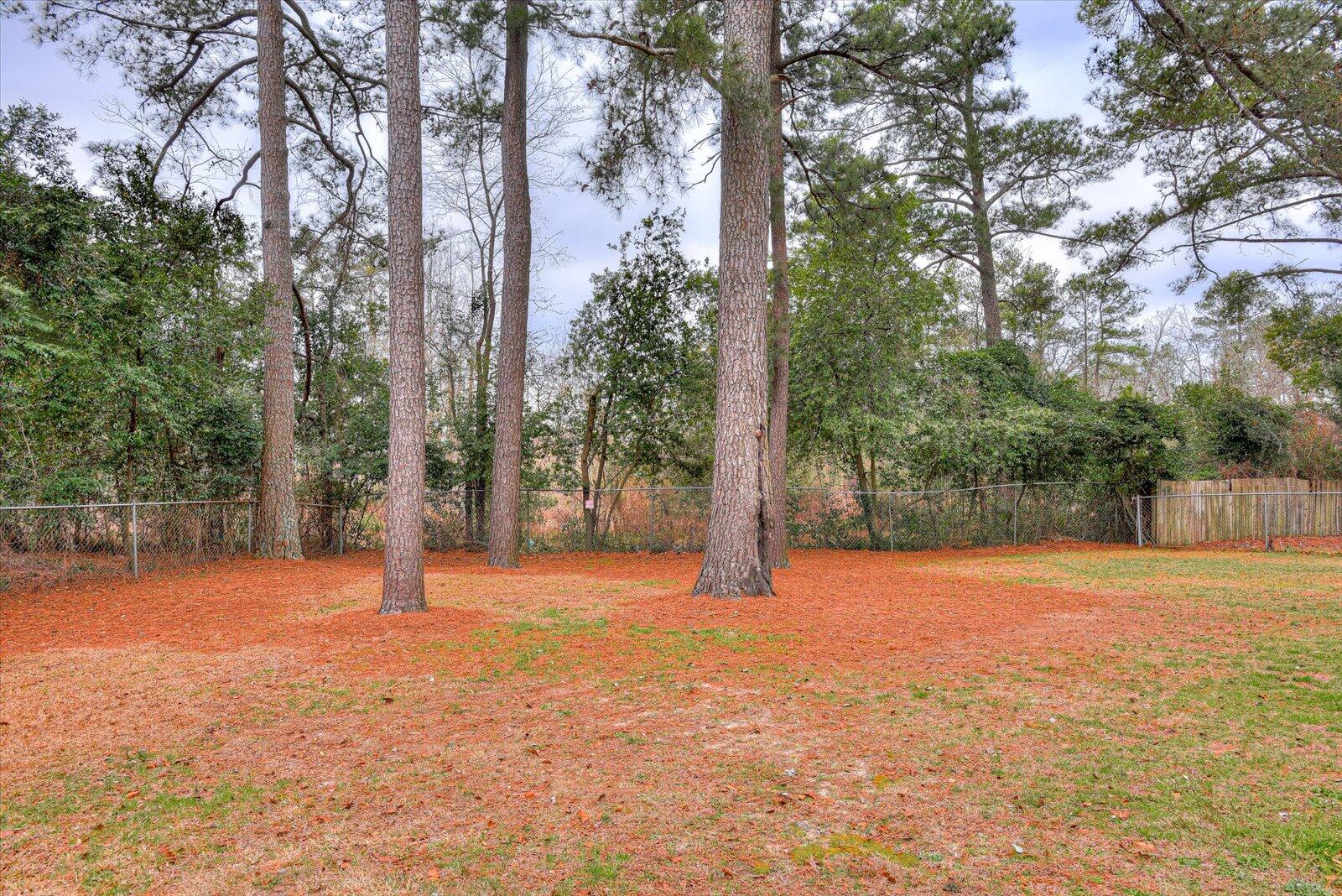 3225 YELLOW PINE Drive