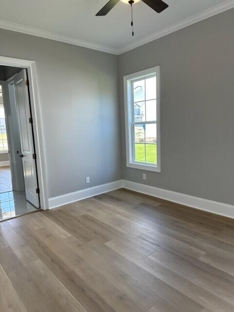 729 WHITNEY SHOALS Road