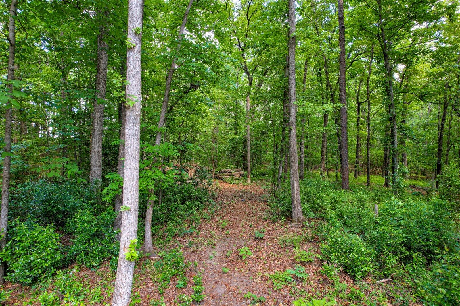 245 CHELTENHAM Drive