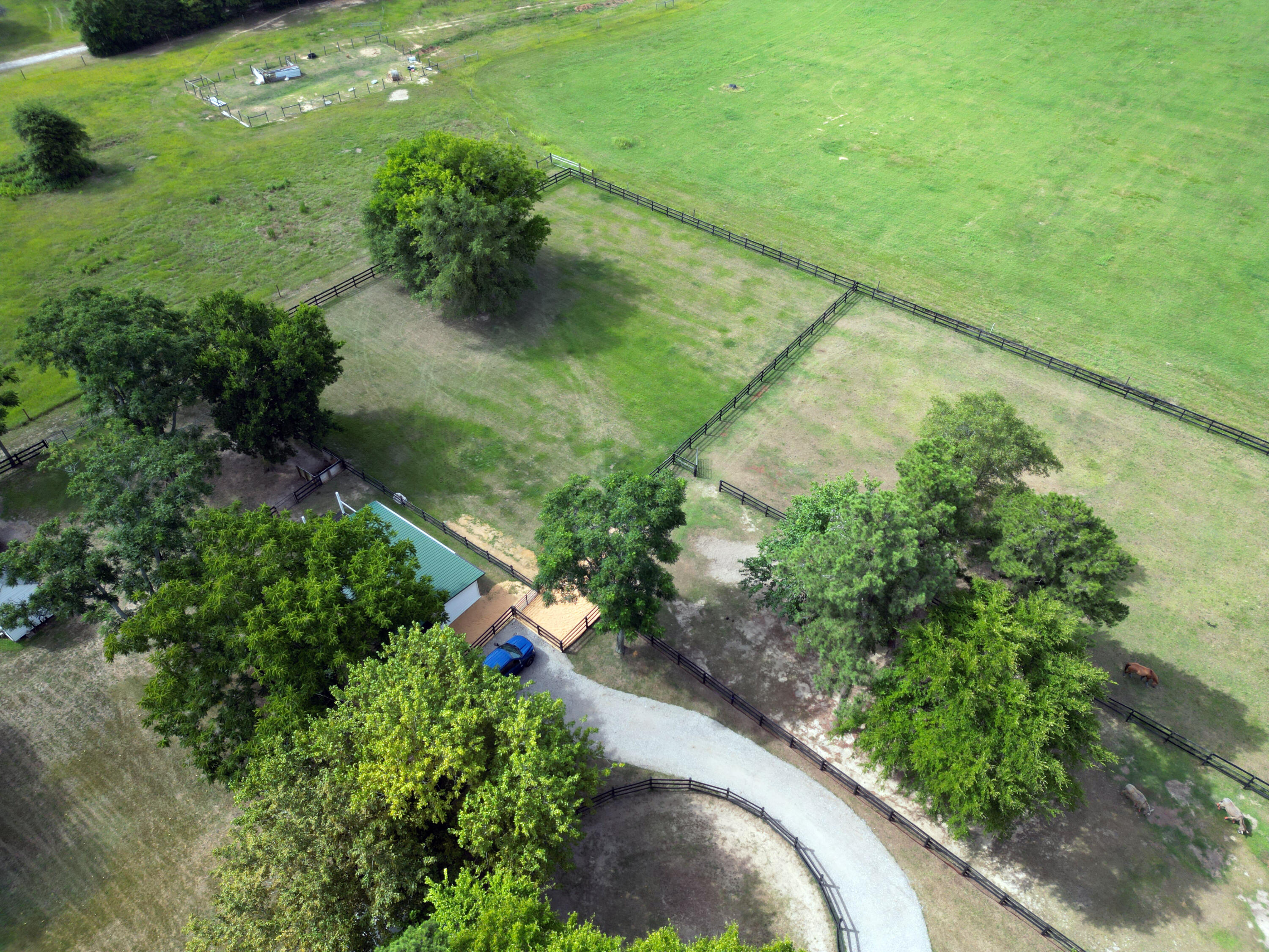 2930 STORM BRANCH RD Road