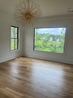 838 Audubon Way