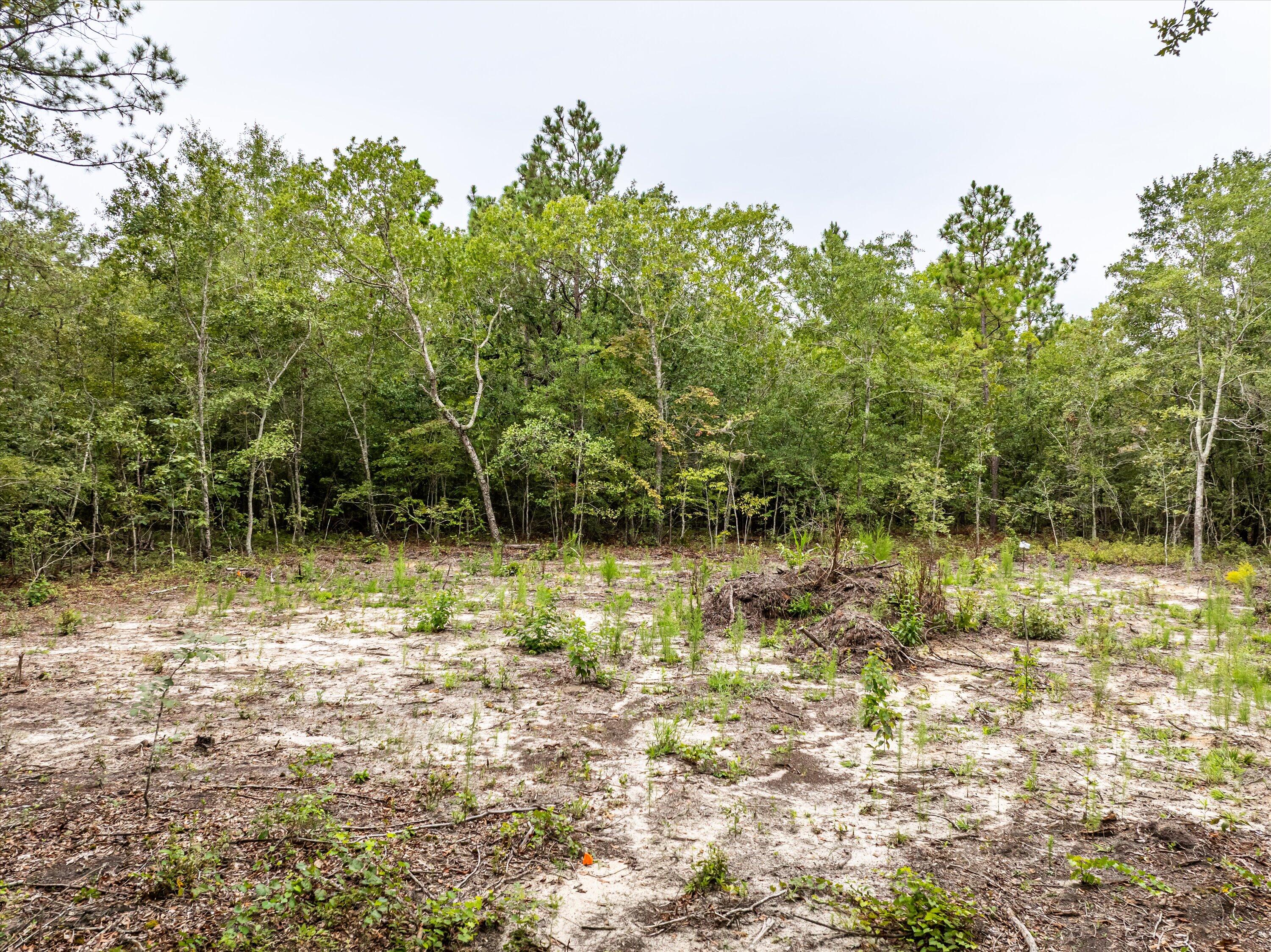 Tbd Old Barnwell Road
