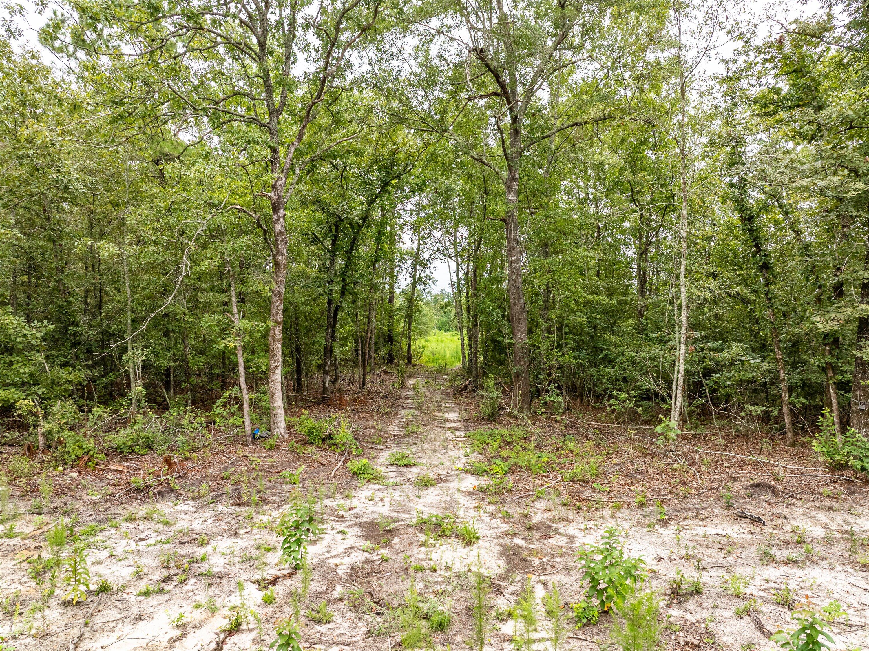 Tbd Old Barnwell Road
