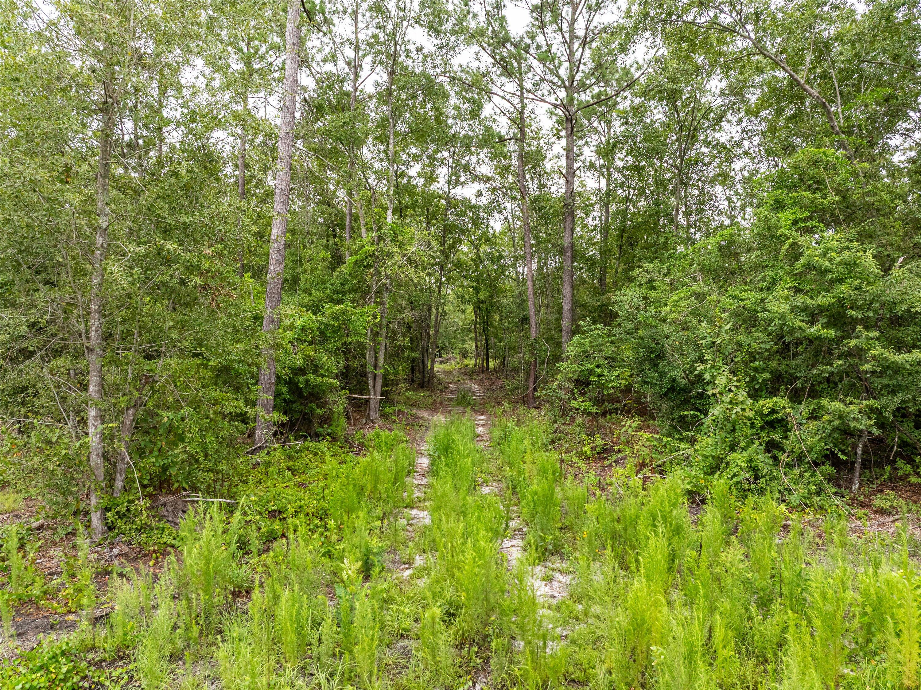 Tbd Old Barnwell Road