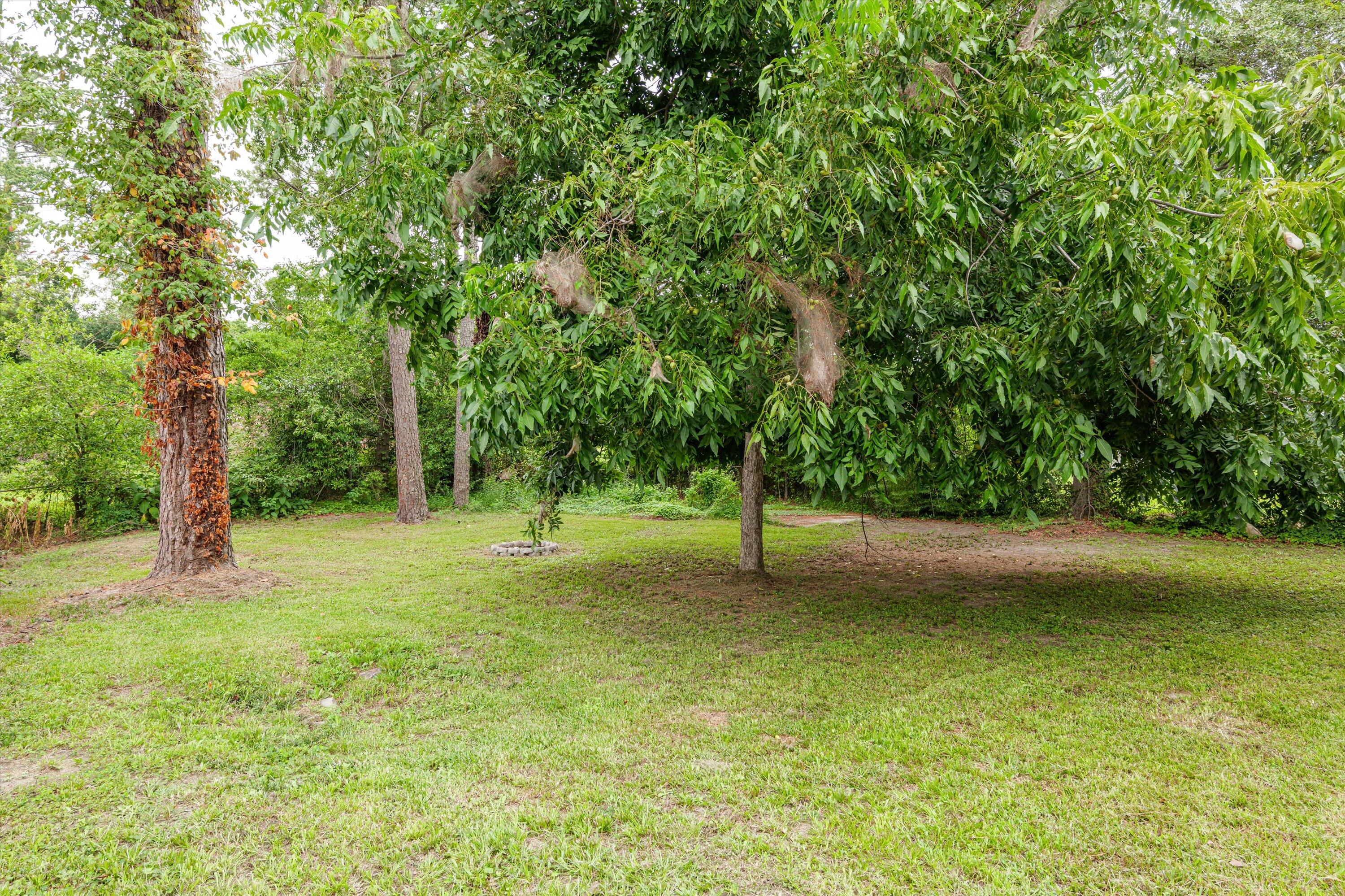 2144 Alfred Lane