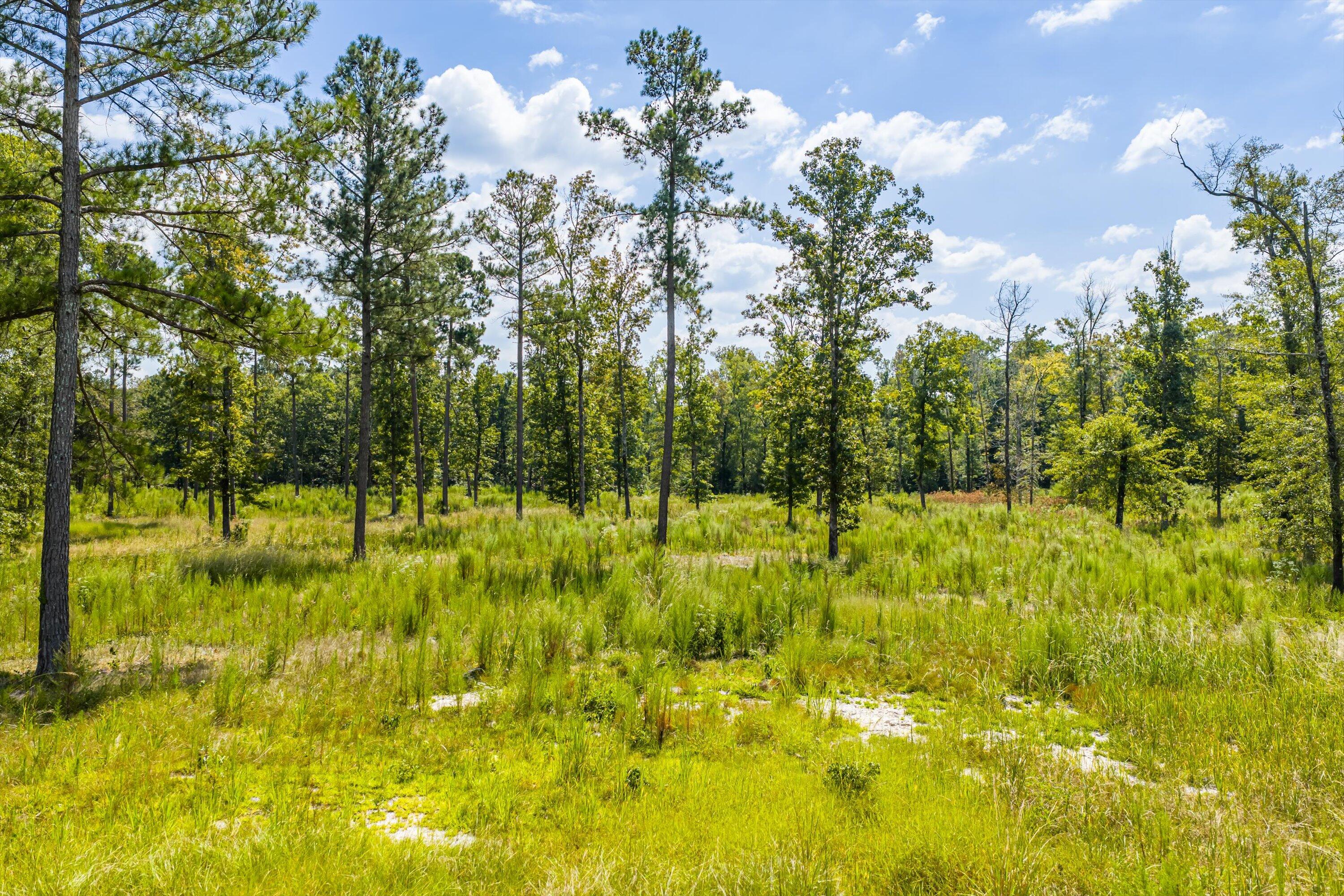 425-430 Shagbark Way