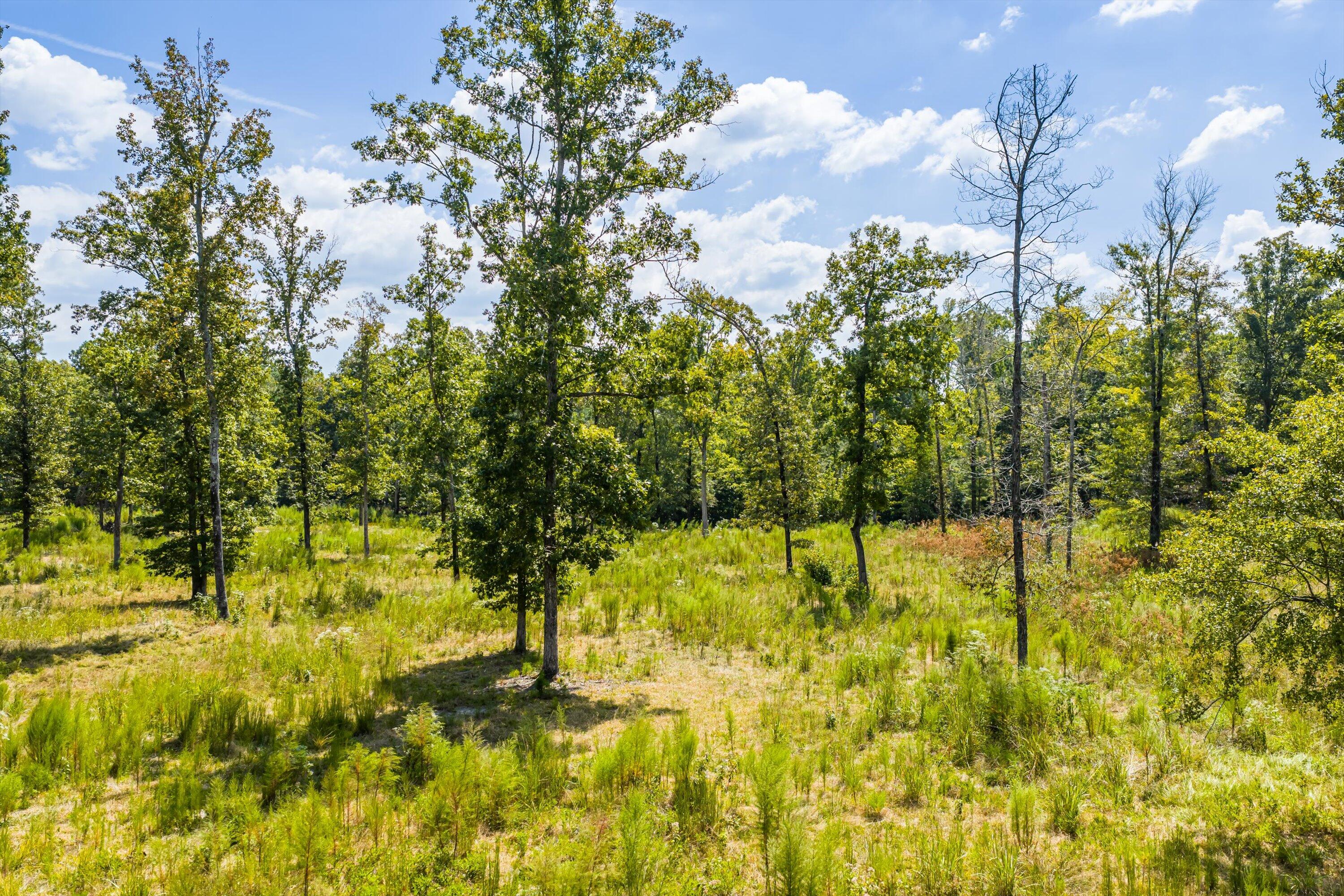 425-430 Shagbark Way