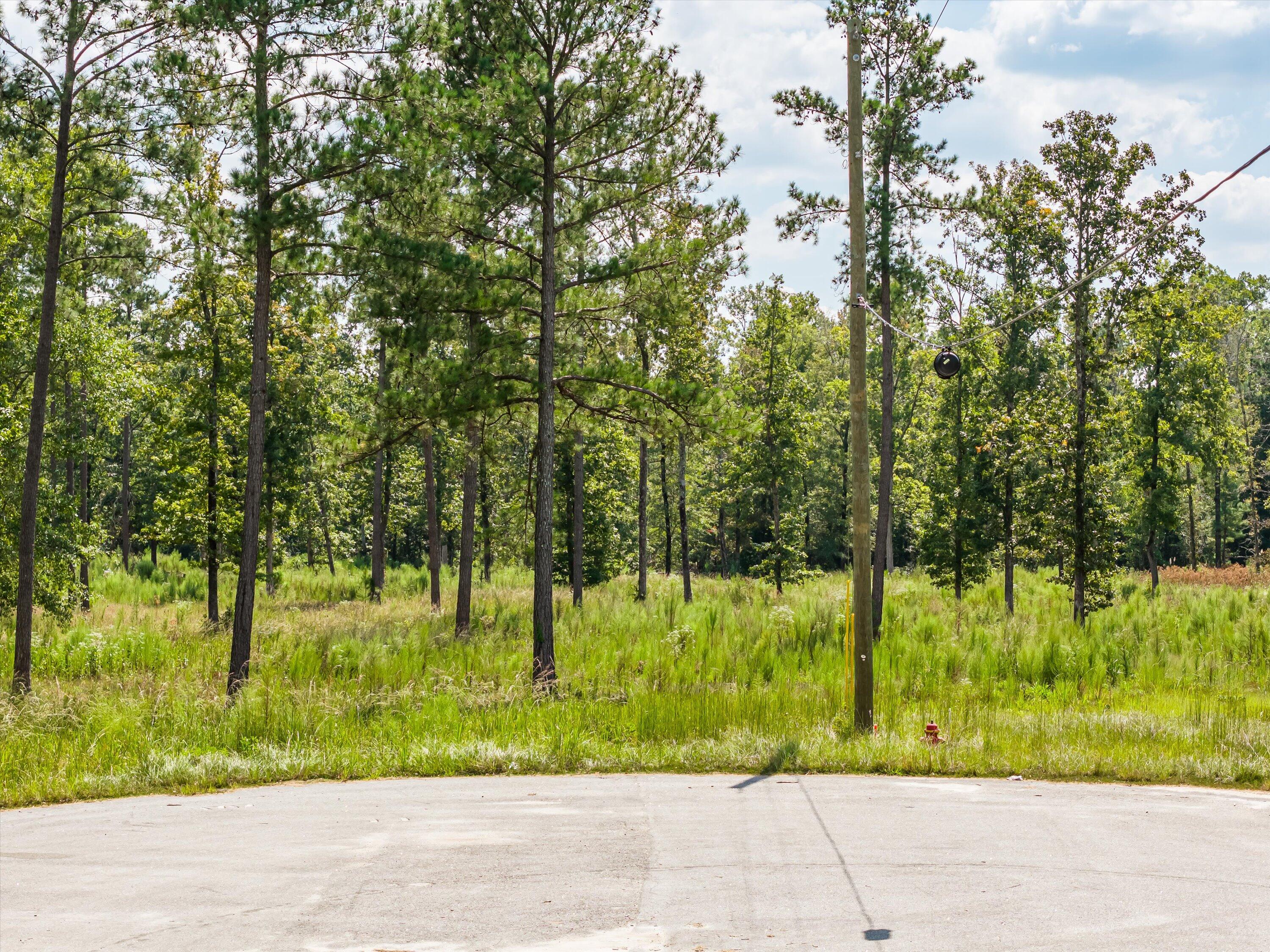 425-430 Shagbark Way