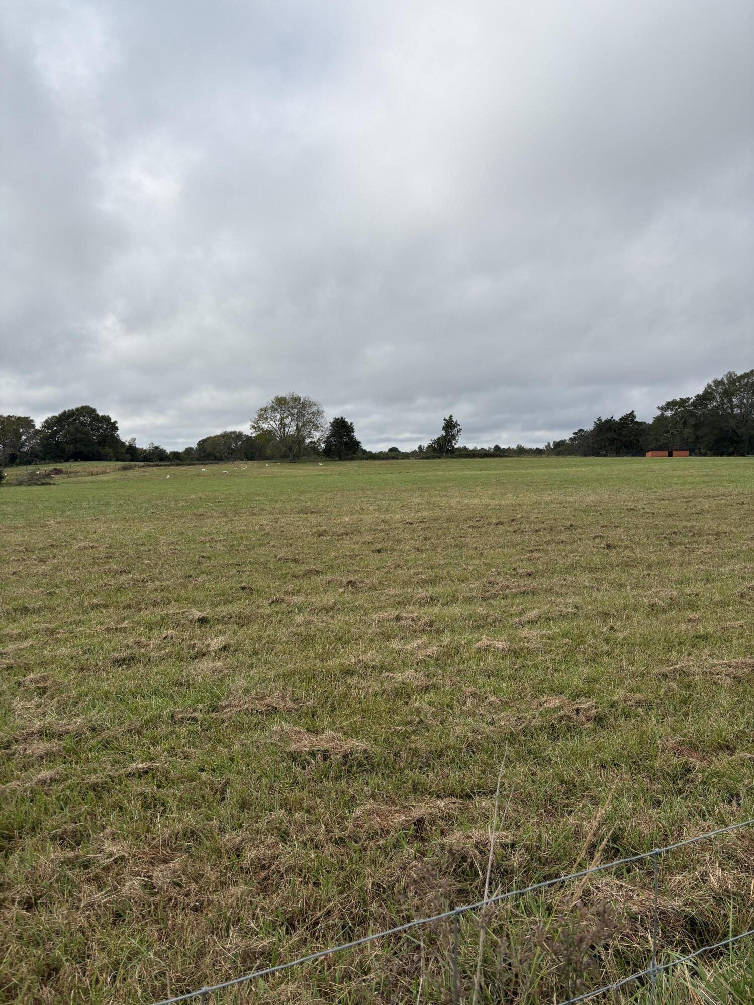 000 Meadow Lane, Washington