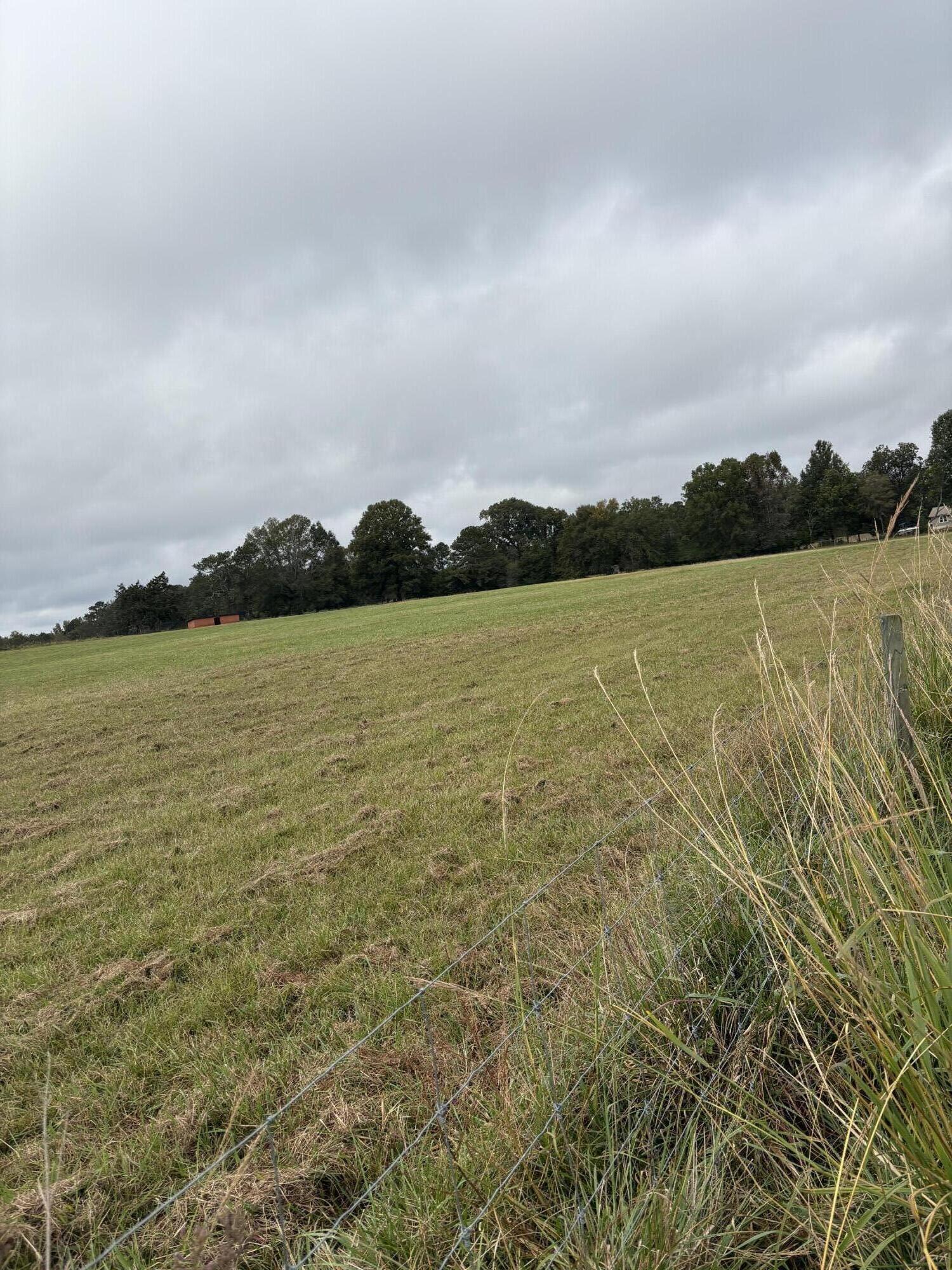 000 Meadow Lane, Washington