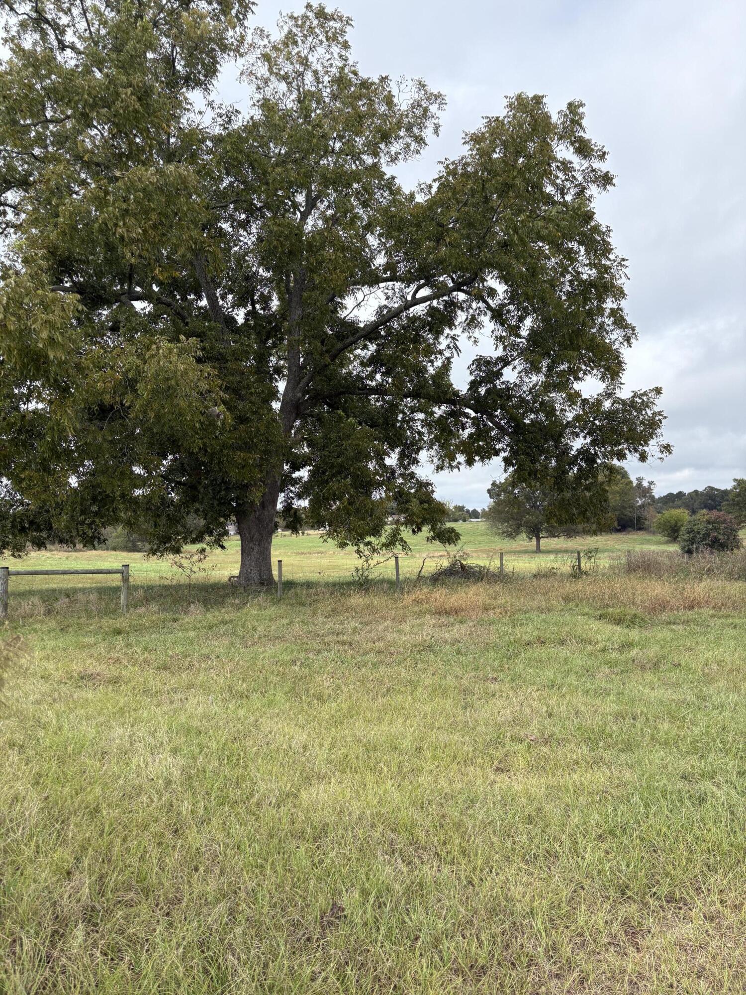 000 Meadow Lane, Washington