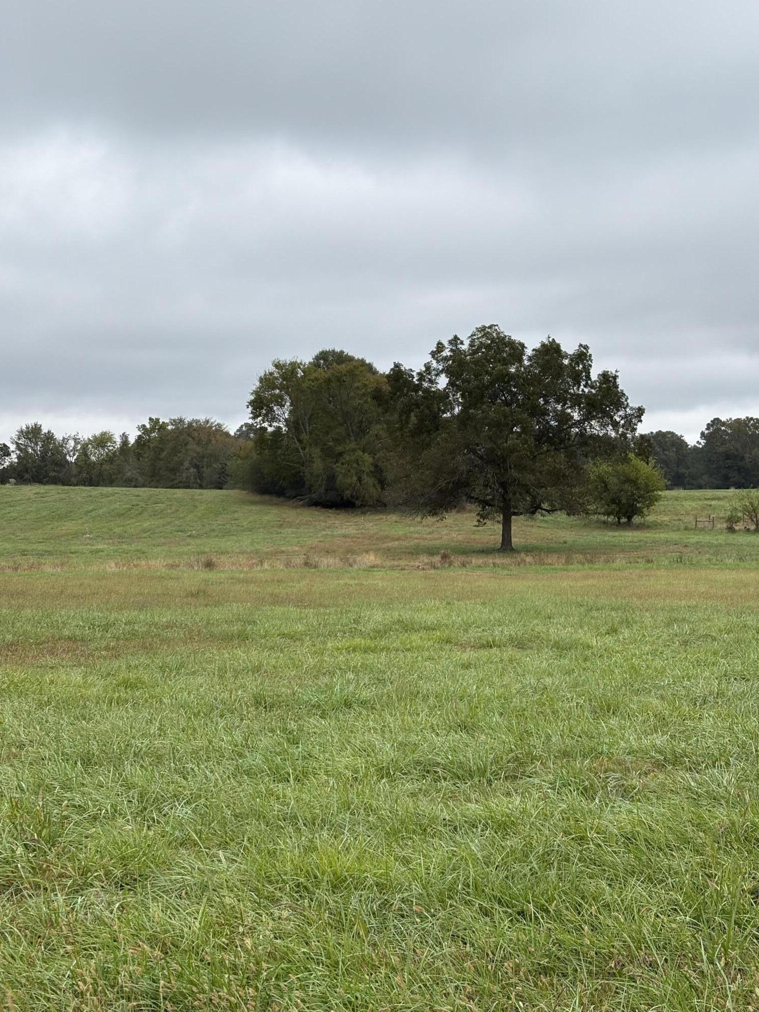000 Meadow Lane, Washington