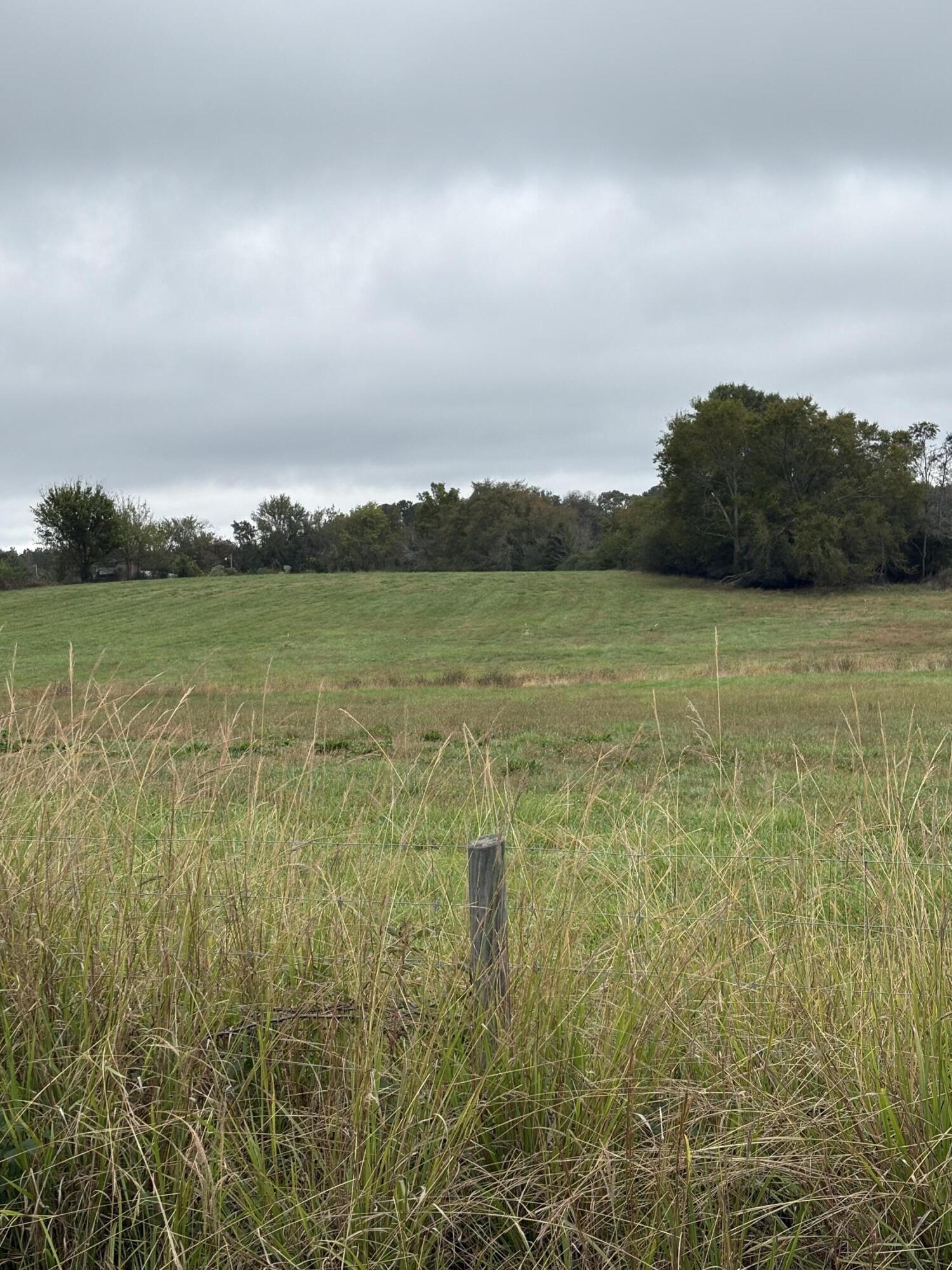 000 Meadow Lane, Washington