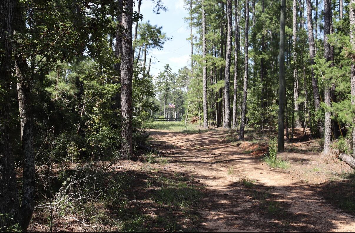 3763 Adelia Drive, Appling